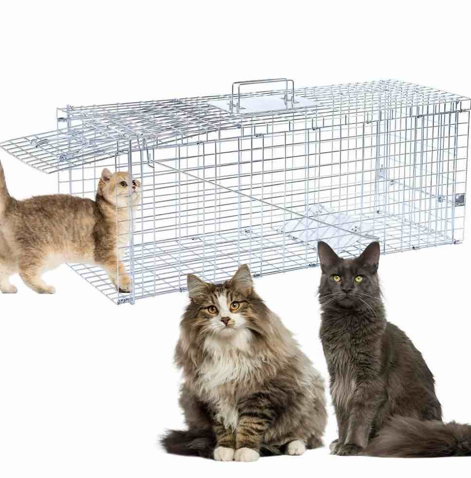 32" live animal traps,humane animal trap for stray cats up to 16.5 pounds, raccoons, squirrel,rabbit,steel foldable with pedal triggers