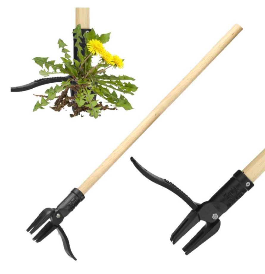 stand up weed puller tool heavy duty weeding tool with long wooden handle and 4-claw steel head