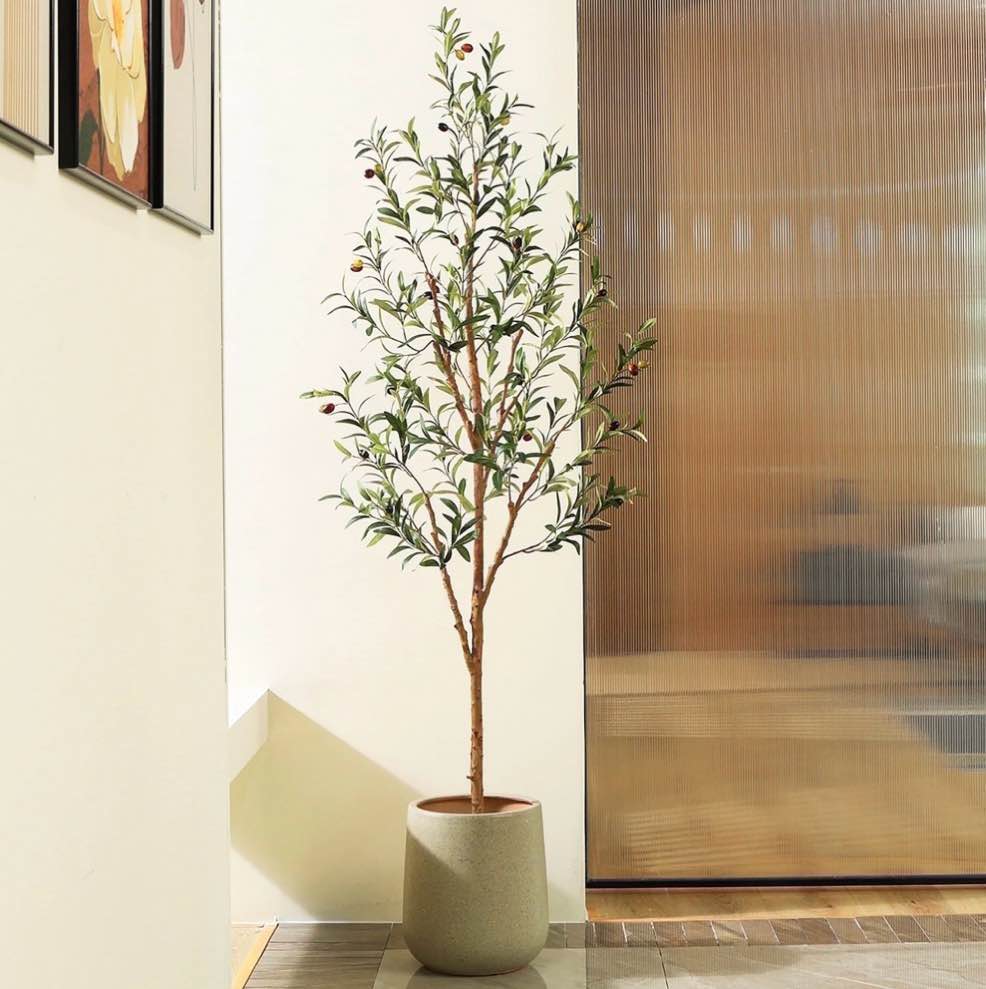 dr.planzen 6ft artificial olive tree indoor, tall faux olive tree, artificial plants with natural wood trunk and lifelike fruits for home office decor