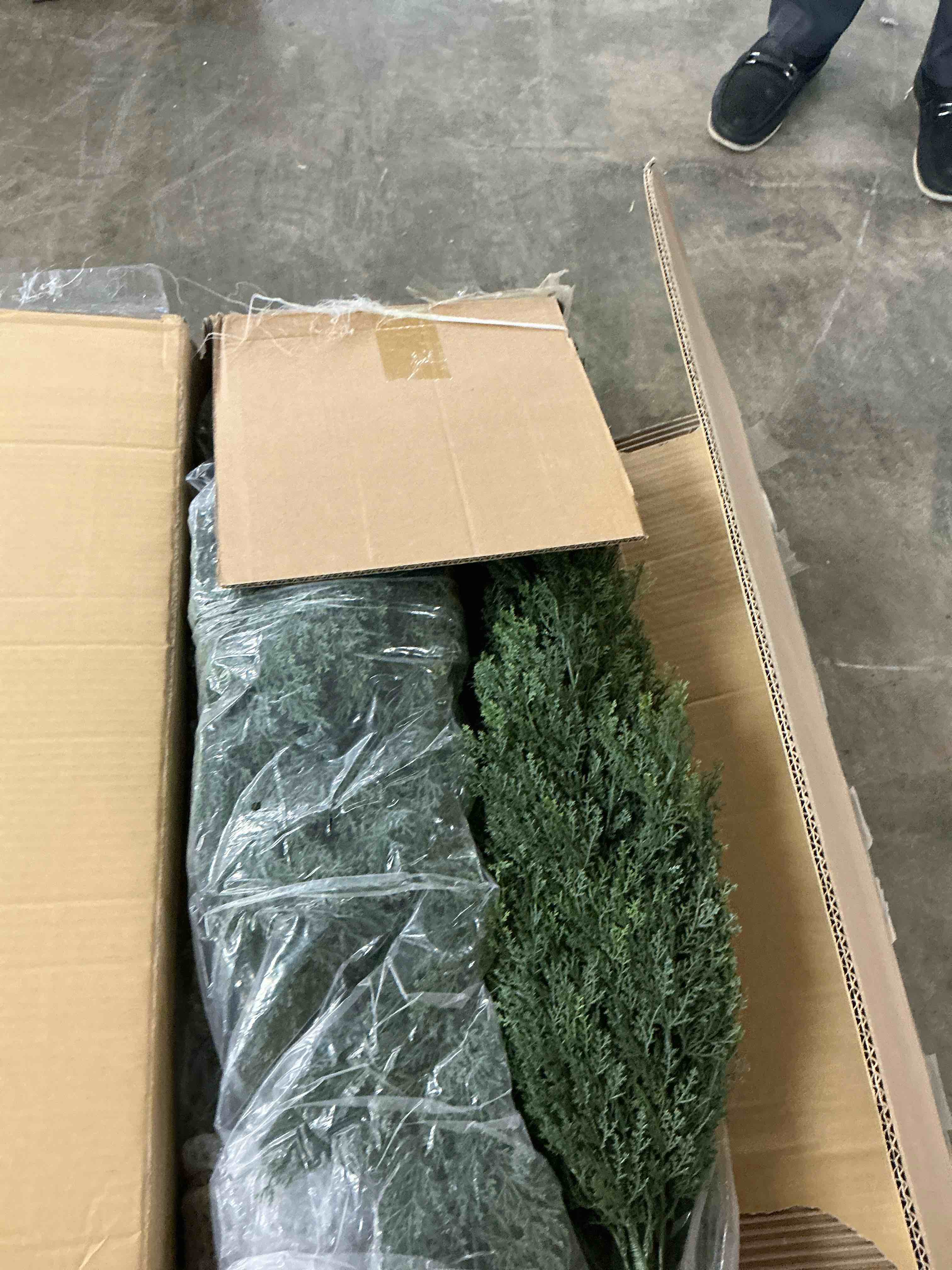 Condition photo showing New/Like New for dr.planzen artificial cedar tree 2 pack 5 ft artificial cedar topiary trees for outdoors potted fake cypress trees faux evergreen plants for home porch decor set of 2