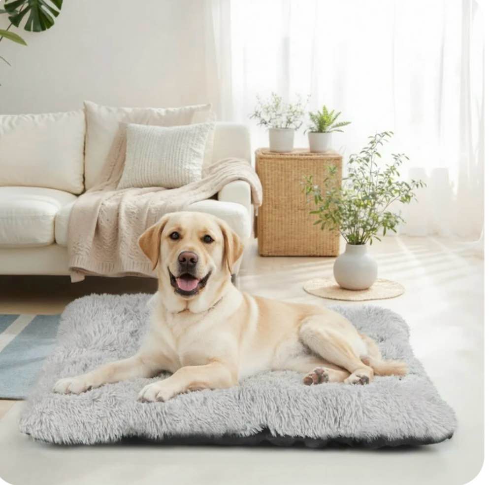Katieovy Large Dog Bed, 40 x 26 inch Fluffy Plush Dog Cage Bed, Washable Dog Mat with Non-Slip Bottom for Large Dogs,Dark Gray