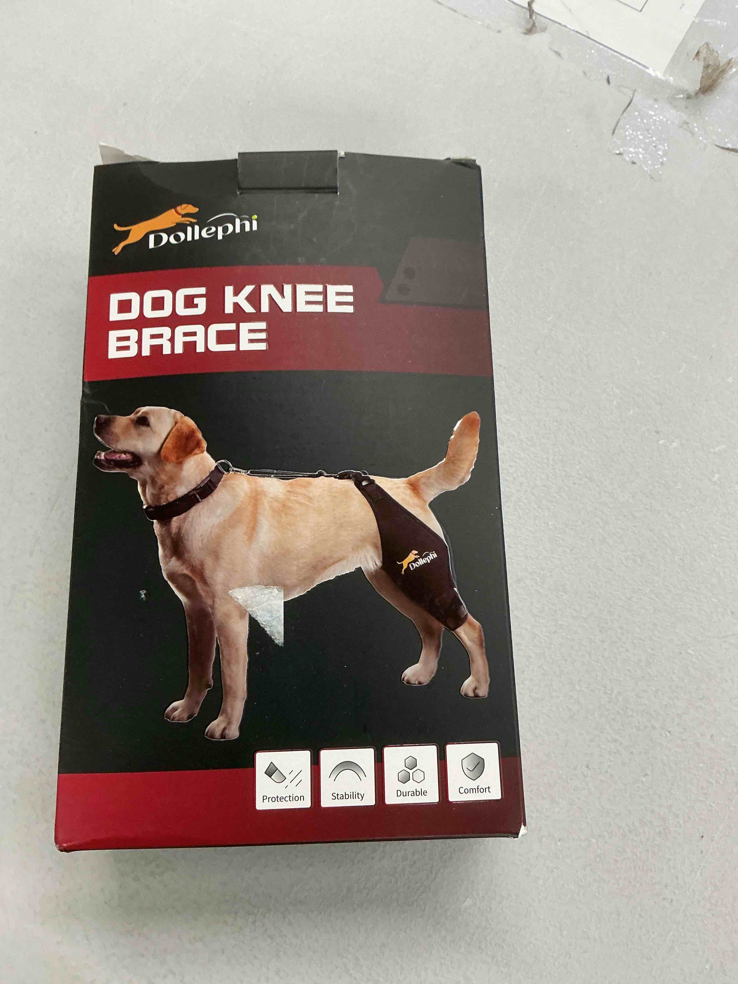 Condition photo showing Good Condition for Dog Knee Brace for Torn ACL Hind Leg, Hot/Cold Compress for Patella Dislocation or Osteoarthritis, Cruciate Ligament Injuries, for Medium & Large Dogs(Right Leg,XL) Right Leg XL