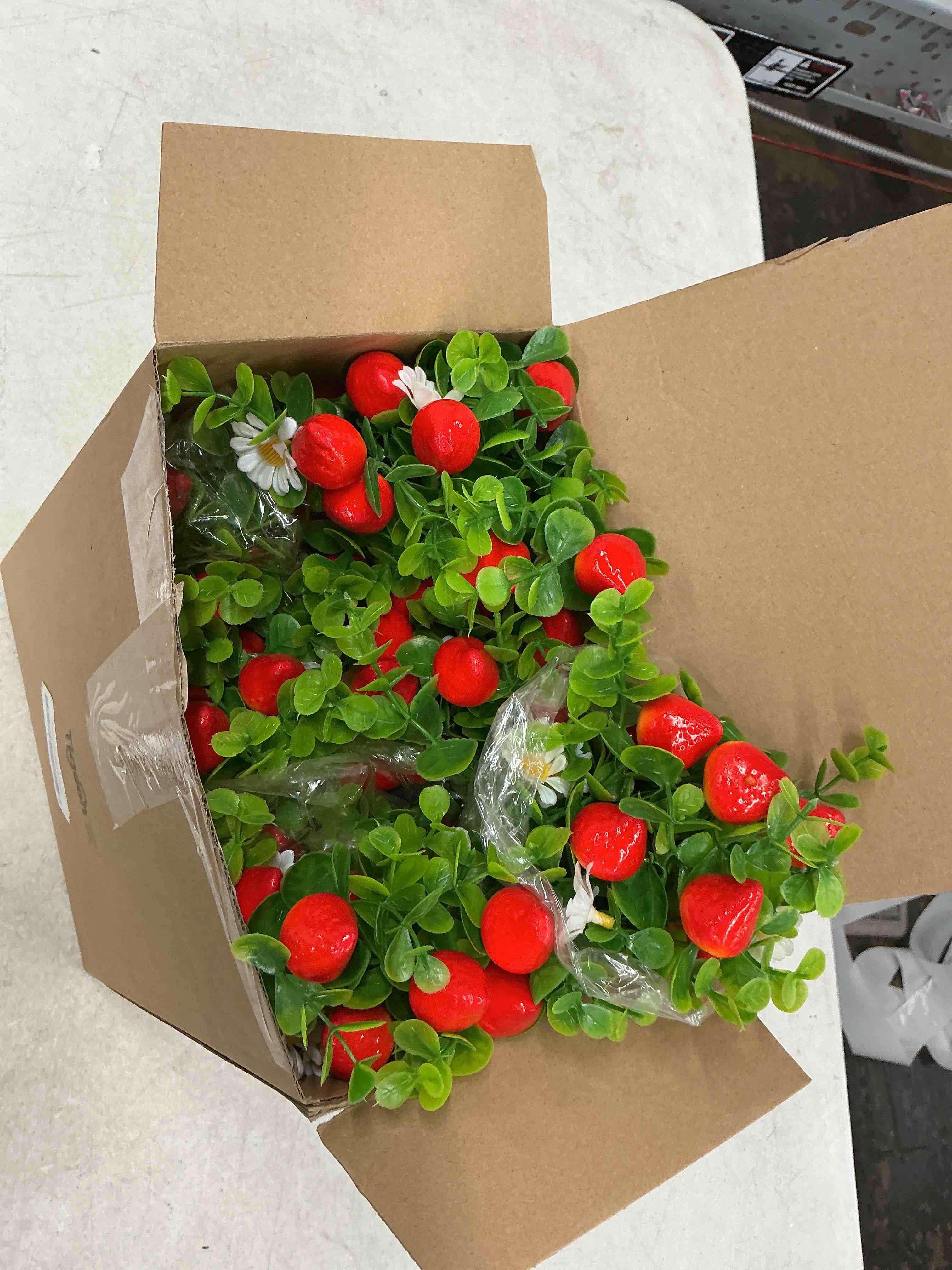 https://s3.amazonaws.com/lotting-images-prod/EmanualPiazza/PPE4336203_1779911688718.jpeg