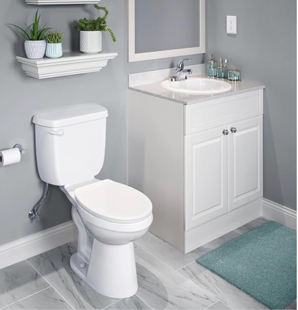 Project Source Colter Vitreous China 19.0-in Drop-in Round Traditional White Bathroom Sink