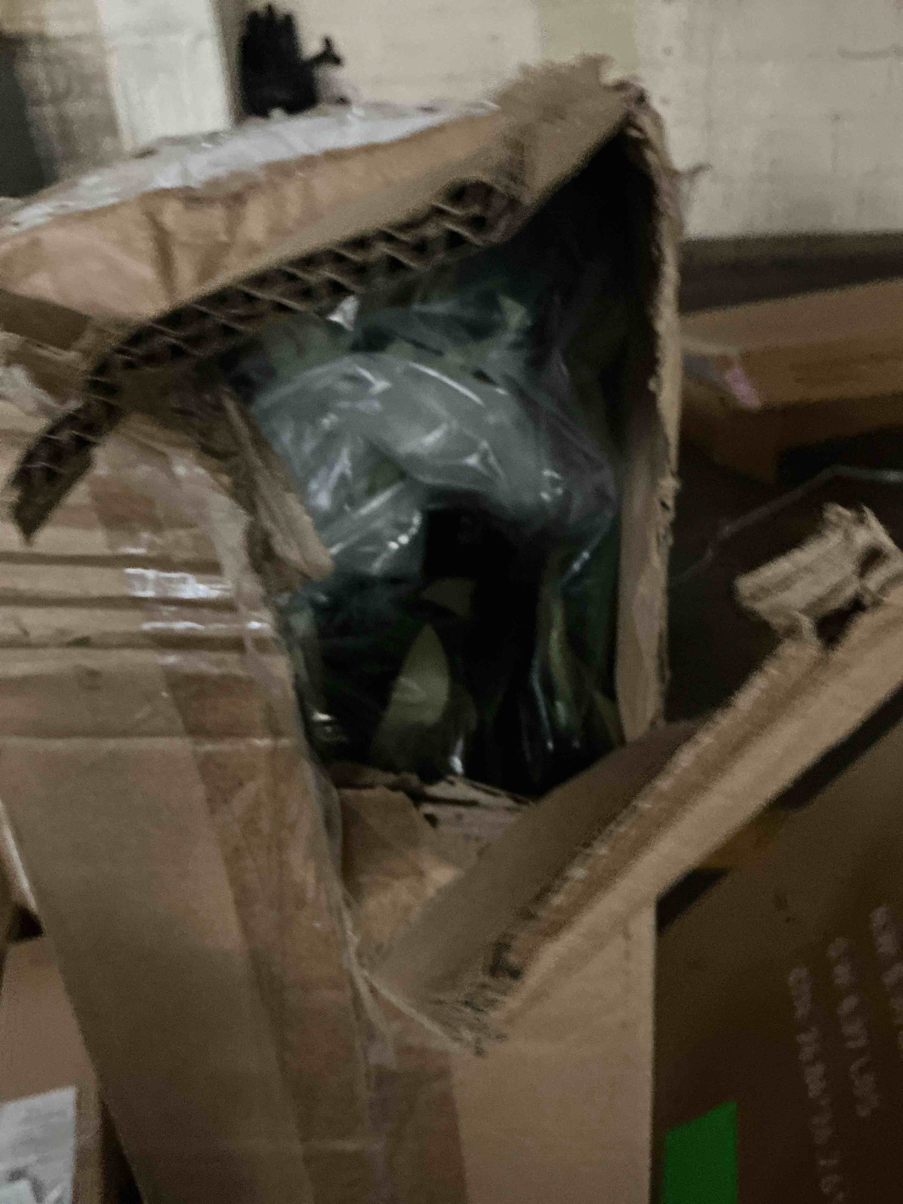 https://s3.amazonaws.com/lotting-images-prod/EmanualPiazza/PPE4339718_1777644989130.jpeg