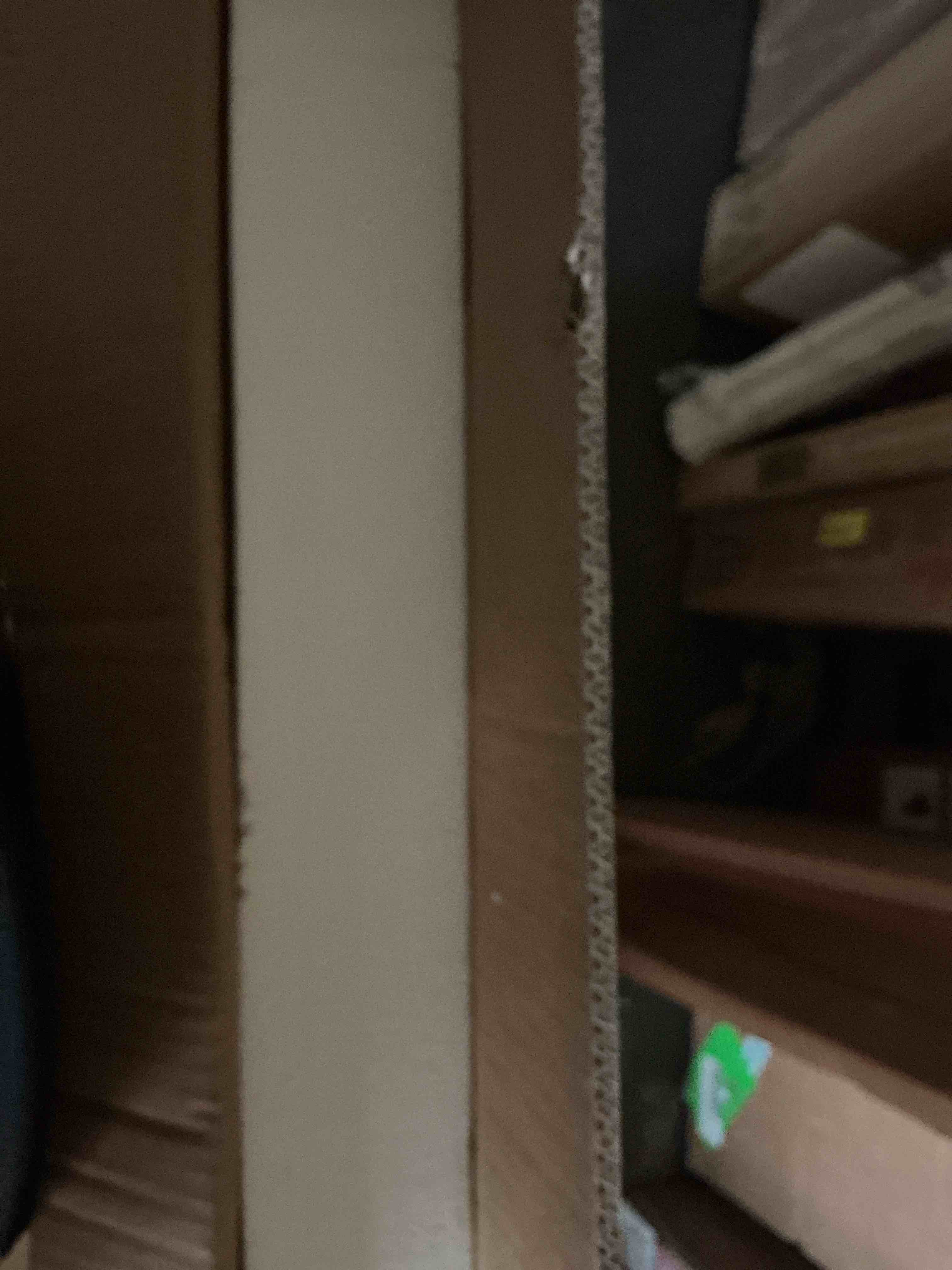 https://s3.amazonaws.com/lotting-images-prod/EmanualPiazza/PPE4339729_1777647610660.jpeg