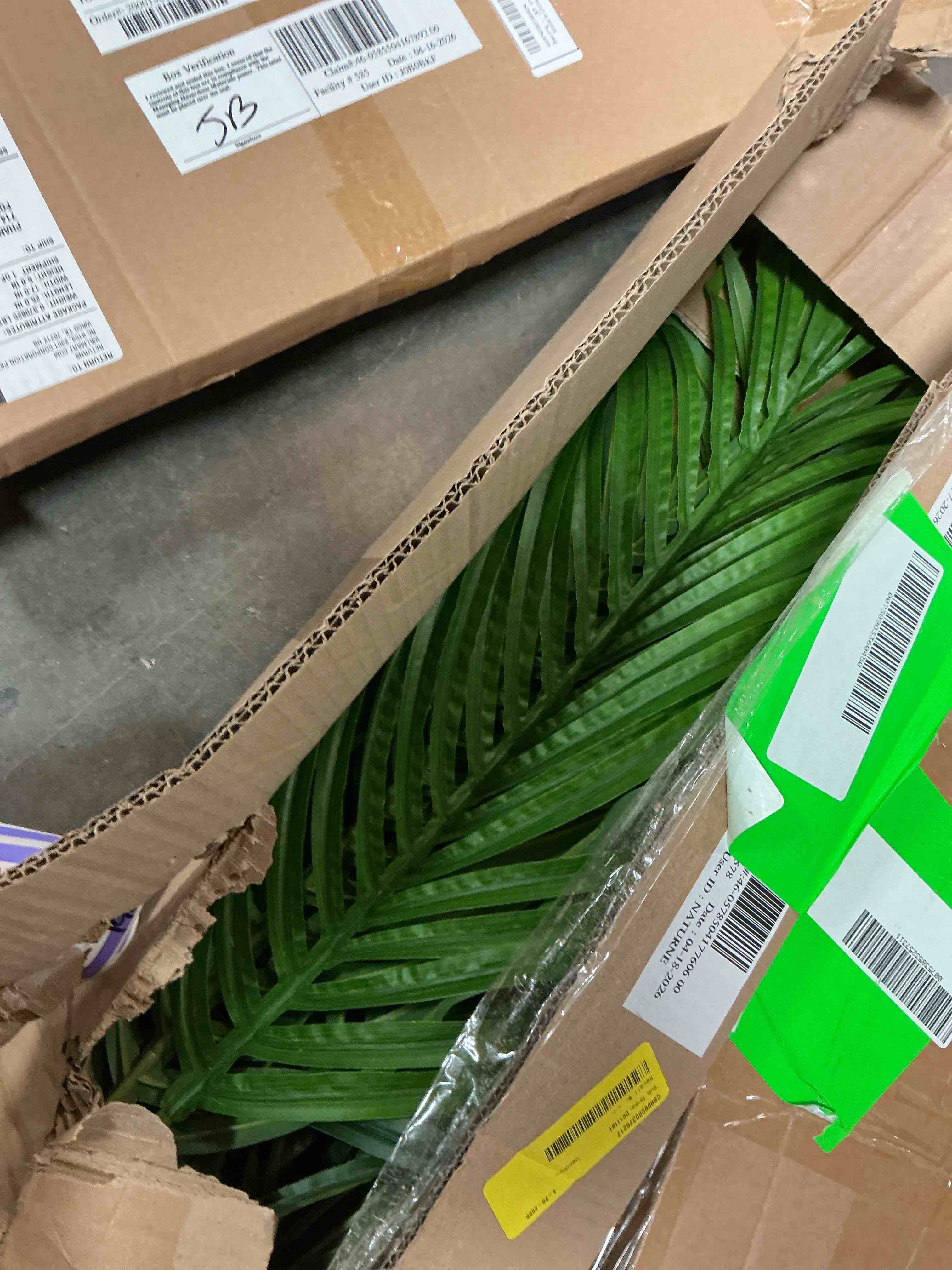 https://s3.amazonaws.com/lotting-images-prod/EmanualPiazza/PPE4340084_1778180392897.jpeg