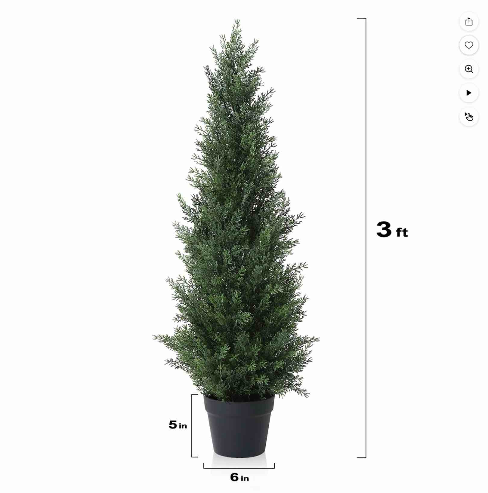 https://s3.amazonaws.com/lotting-images-prod/EmanualPiazza/PPE4340287_1778254931875.jpeg