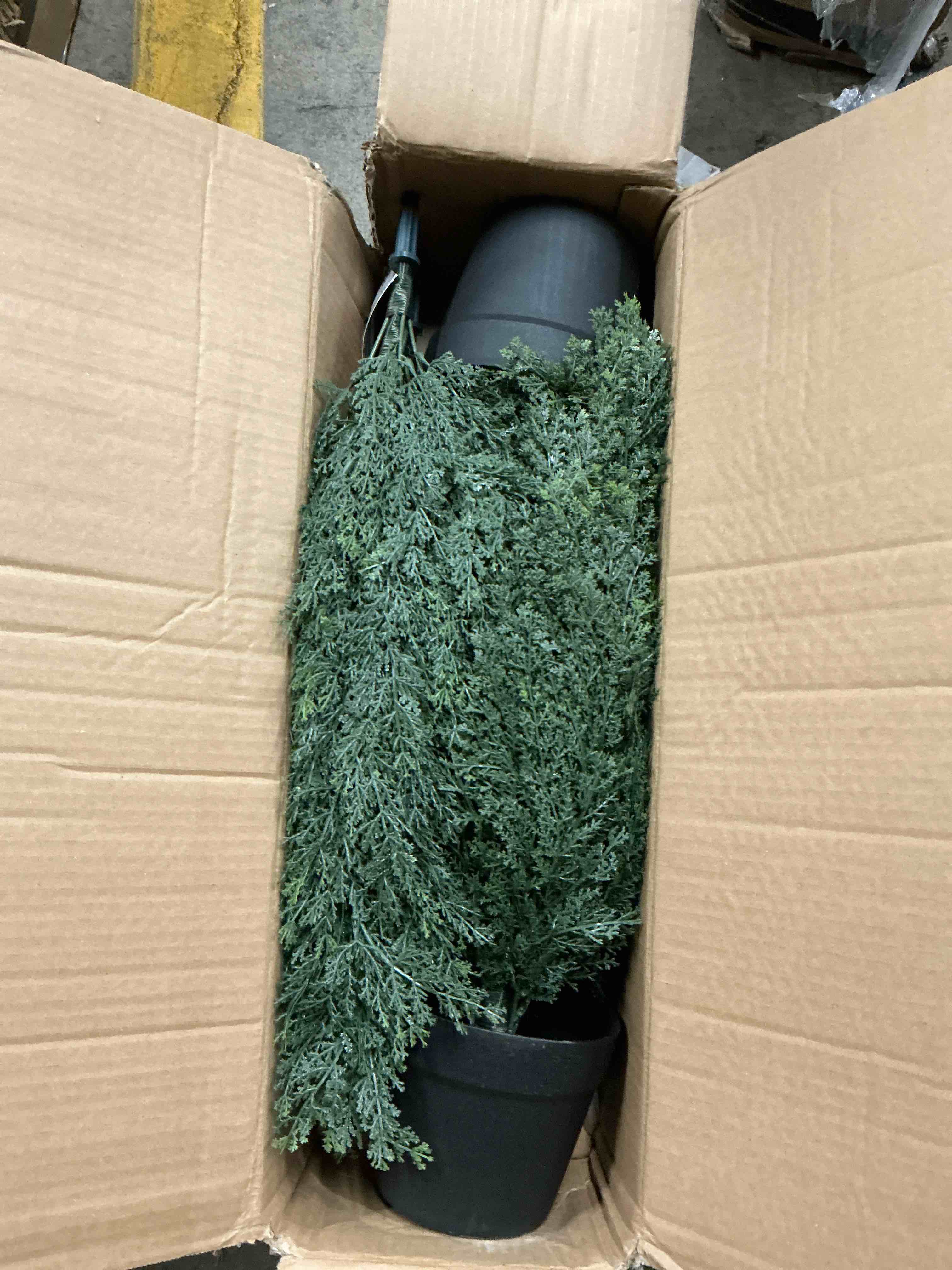 https://s3.amazonaws.com/lotting-images-prod/EmanualPiazza/PPE4343429_1777659828456.jpeg