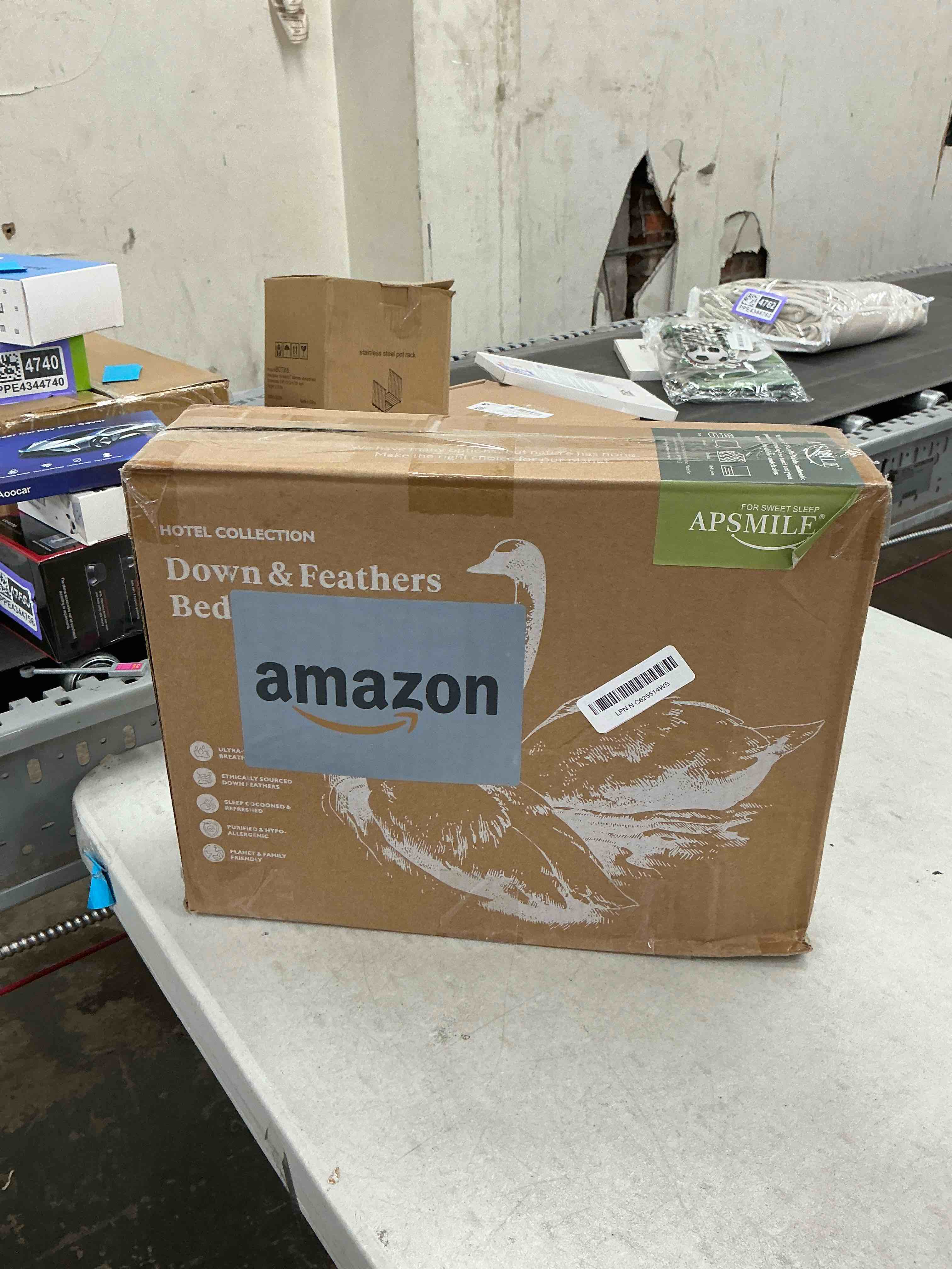 https://s3.amazonaws.com/lotting-images-prod/EmanualPiazza/PPE4344769_1778686853586.jpeg