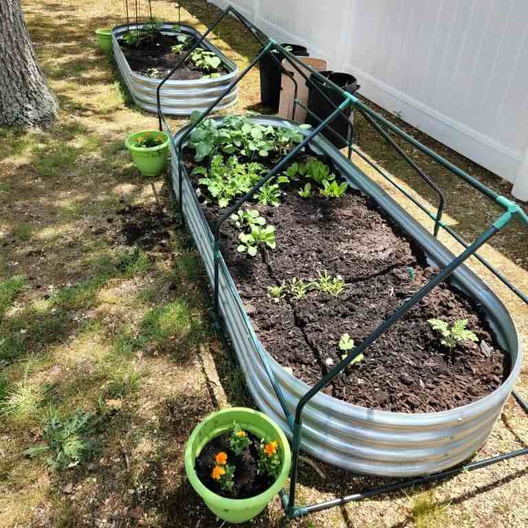 Galvanized Raised Garden Bed Kit 2Pack 8ft  Galvanized Planter Raised Garden Boxes Outdoor  Oval Metal Raised Garden Beds