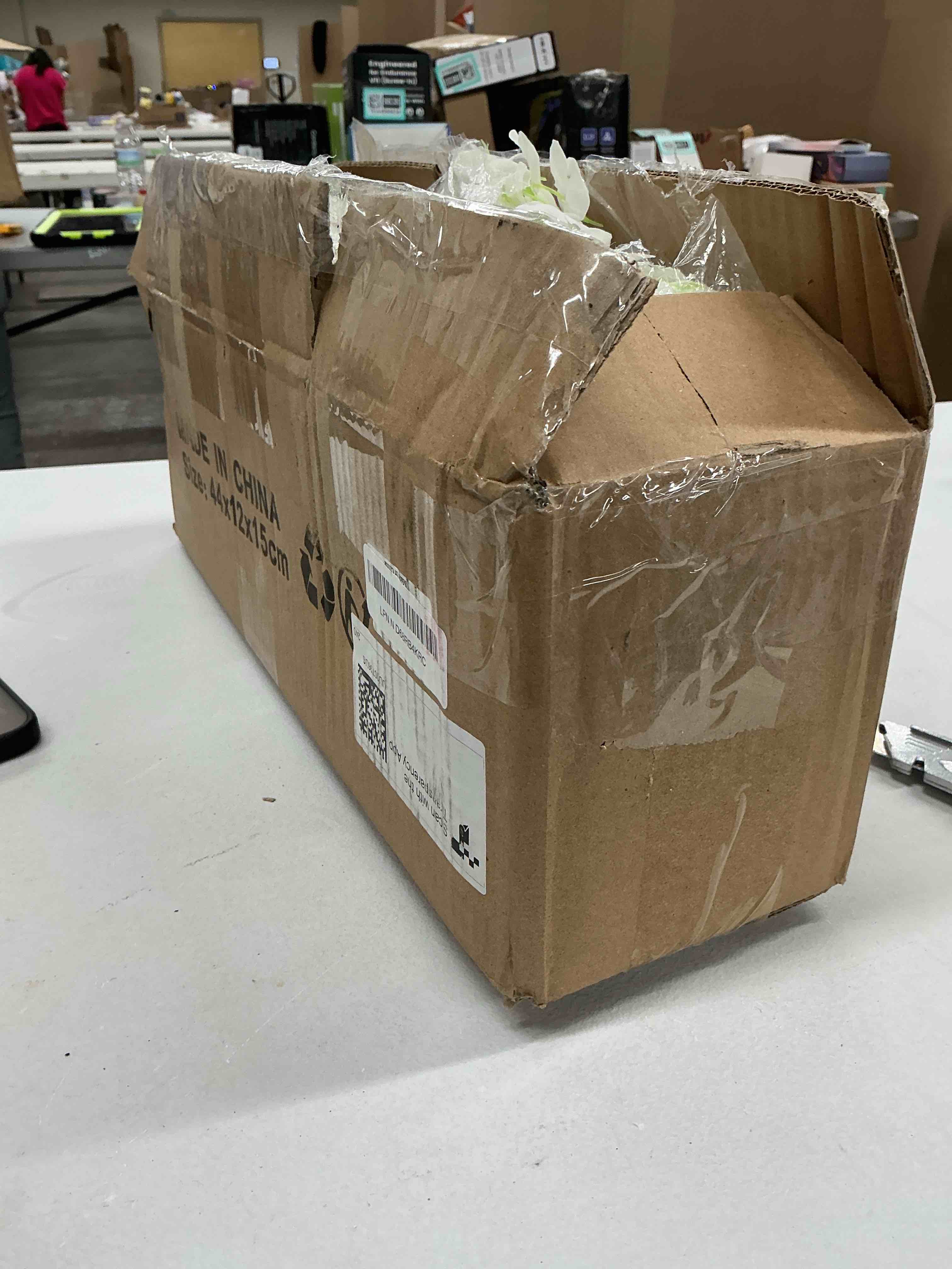https://s3.amazonaws.com/lotting-images-prod/EmanualPiazza/PPE4811064_1780693324631.jpeg