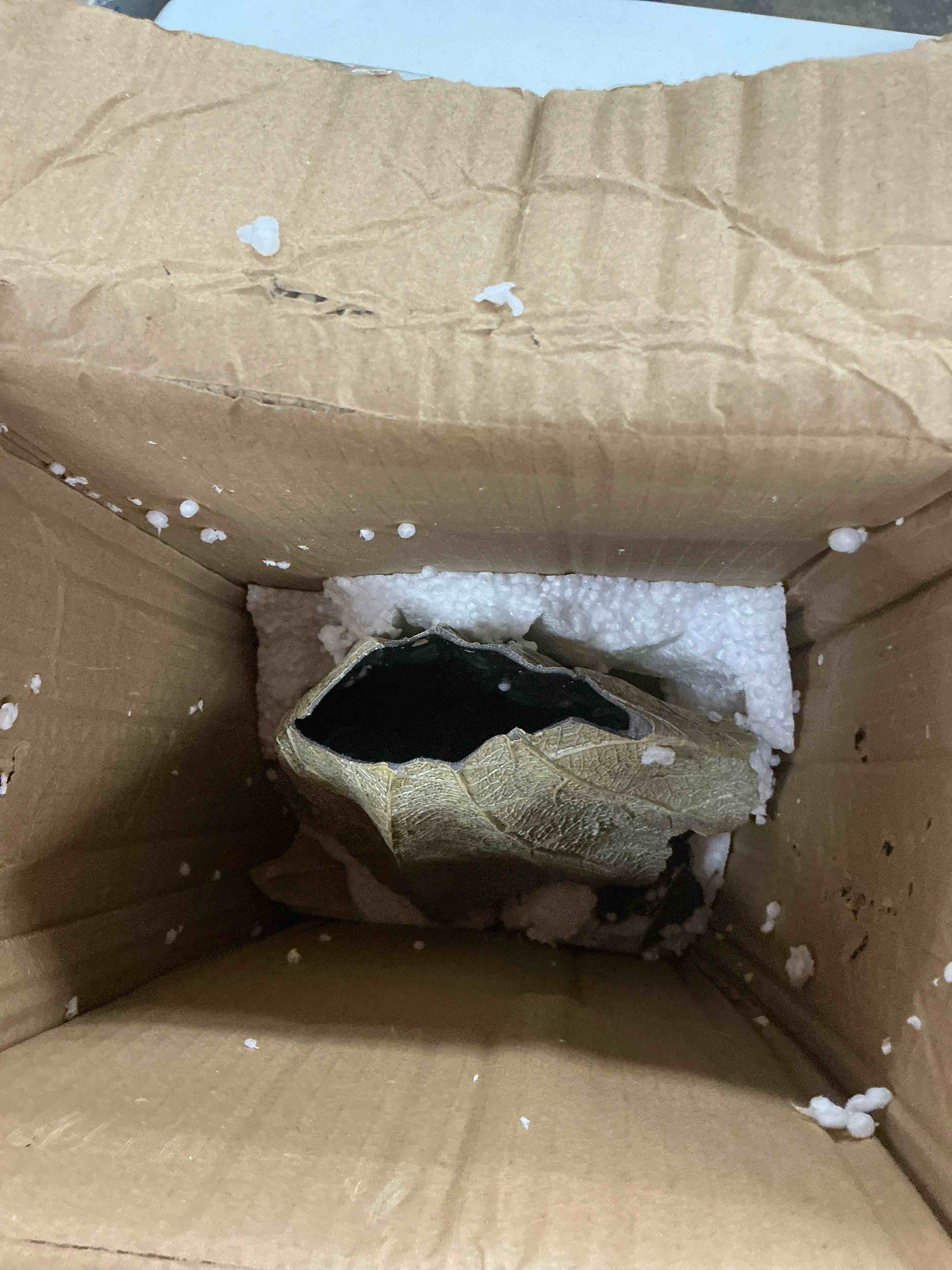 https://s3.amazonaws.com/lotting-images-prod/EmanualPiazza/PPE4814696_1782229302983.jpeg