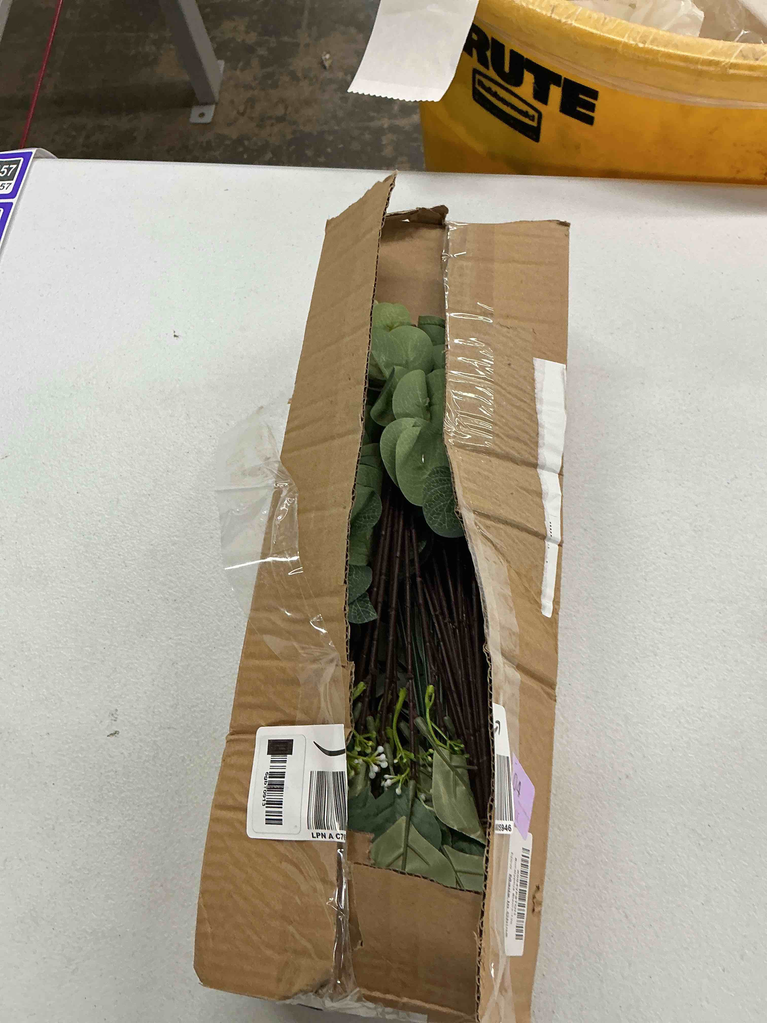 https://s3.amazonaws.com/lotting-images-prod/EmanualPiazza/PPE7060475_1789489955598.jpeg