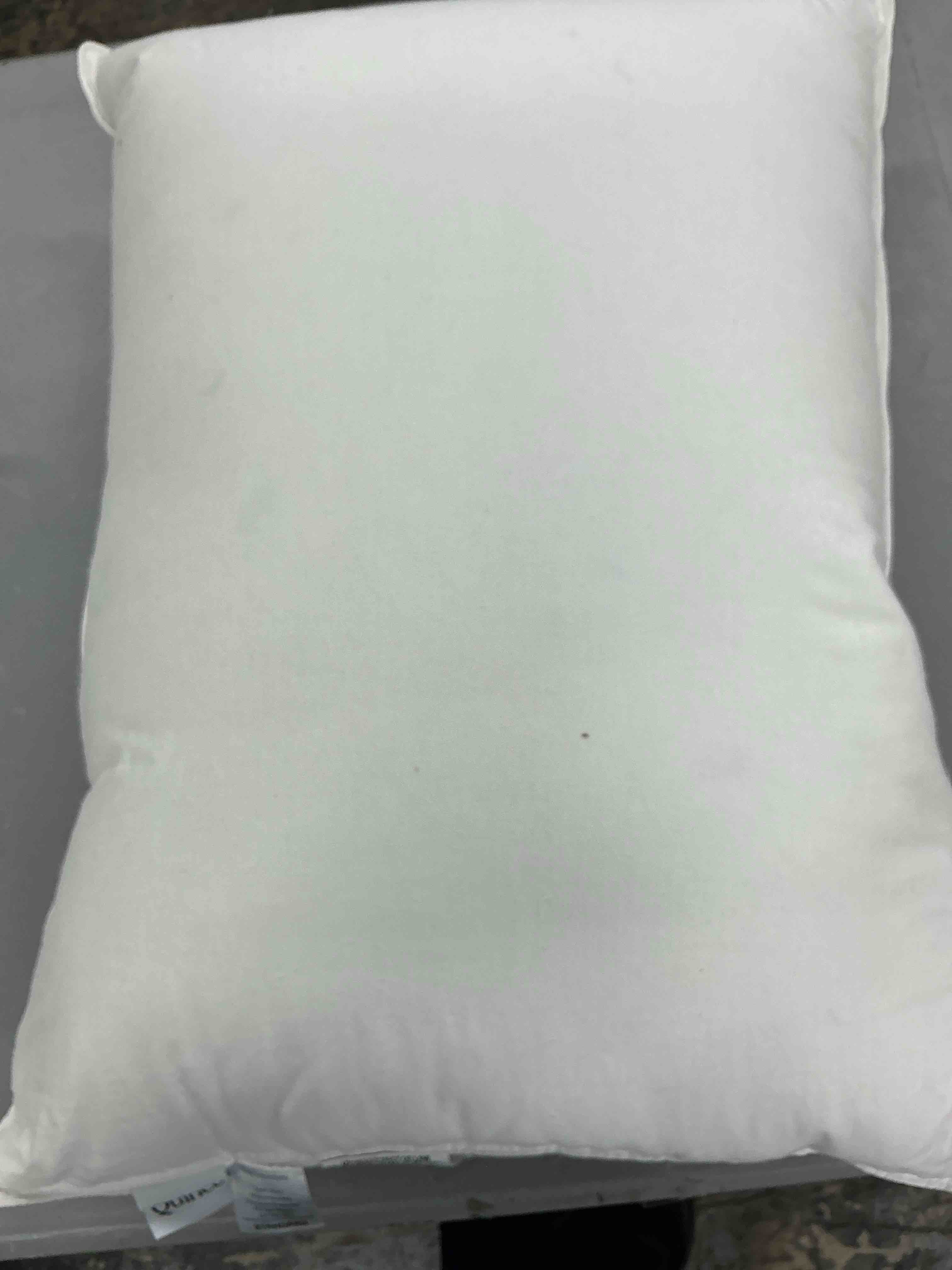 Condition photo showing Good Condition for quince premium down alternative pillow