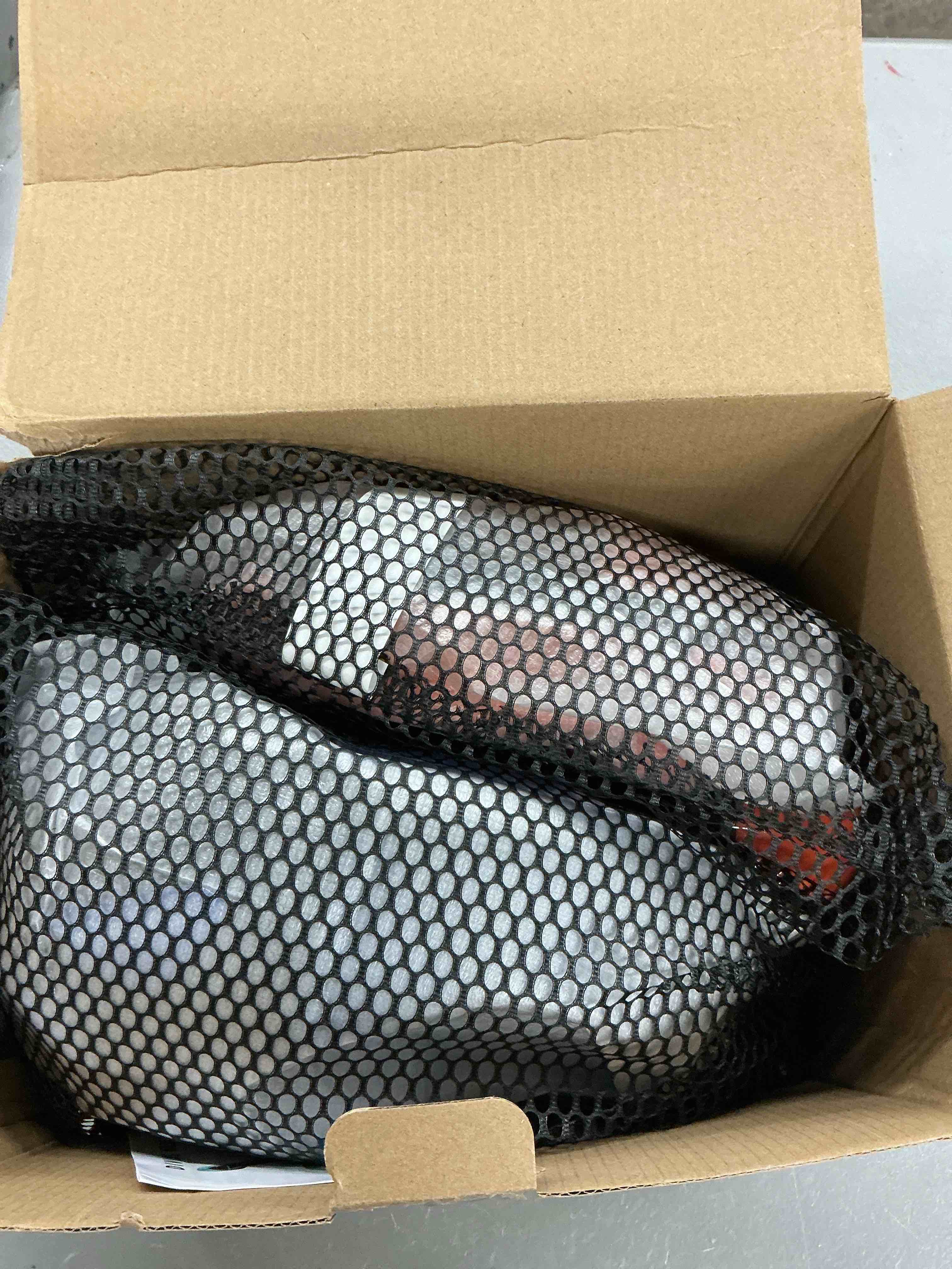 https://s3.amazonaws.com/lotting-images-prod/EmanualPiazza/PPE7367554_1781620662560.jpeg