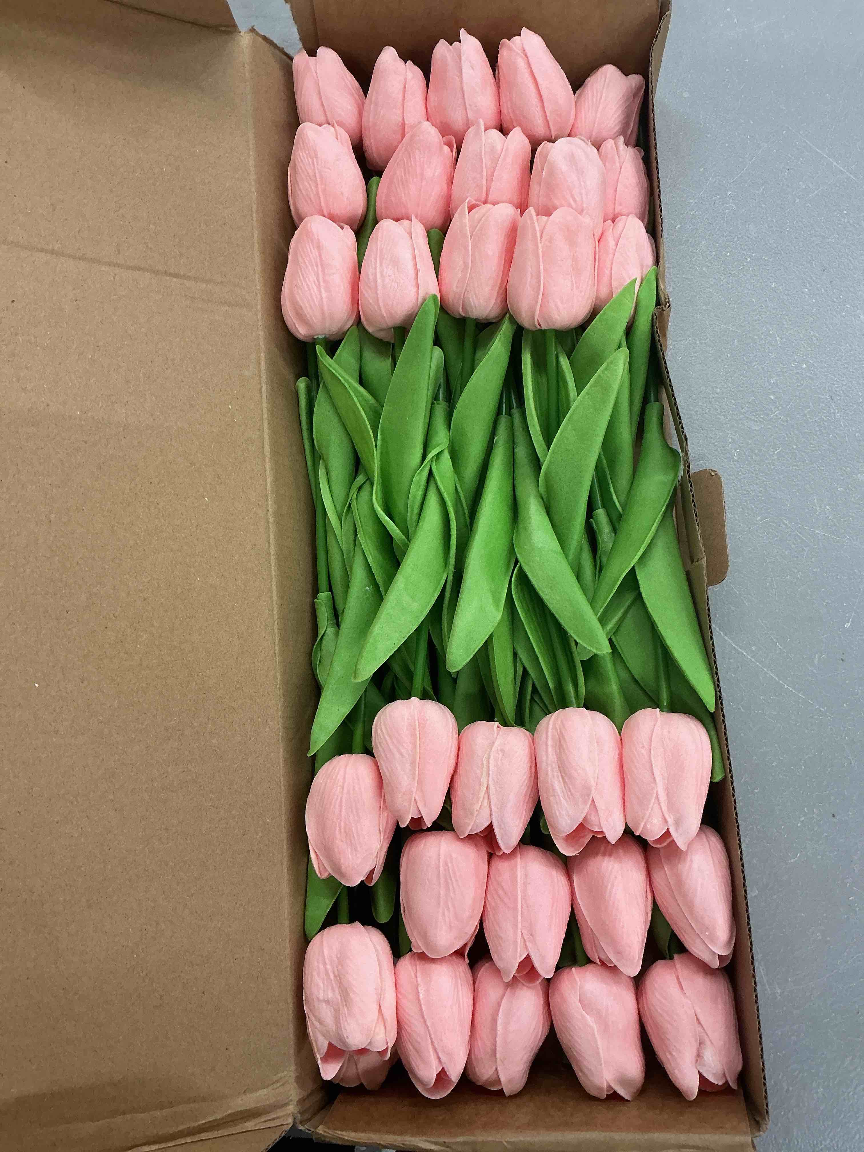 https://s3.amazonaws.com/lotting-images-prod/EmanualPiazza/PPE7368140_1781729908098.jpeg