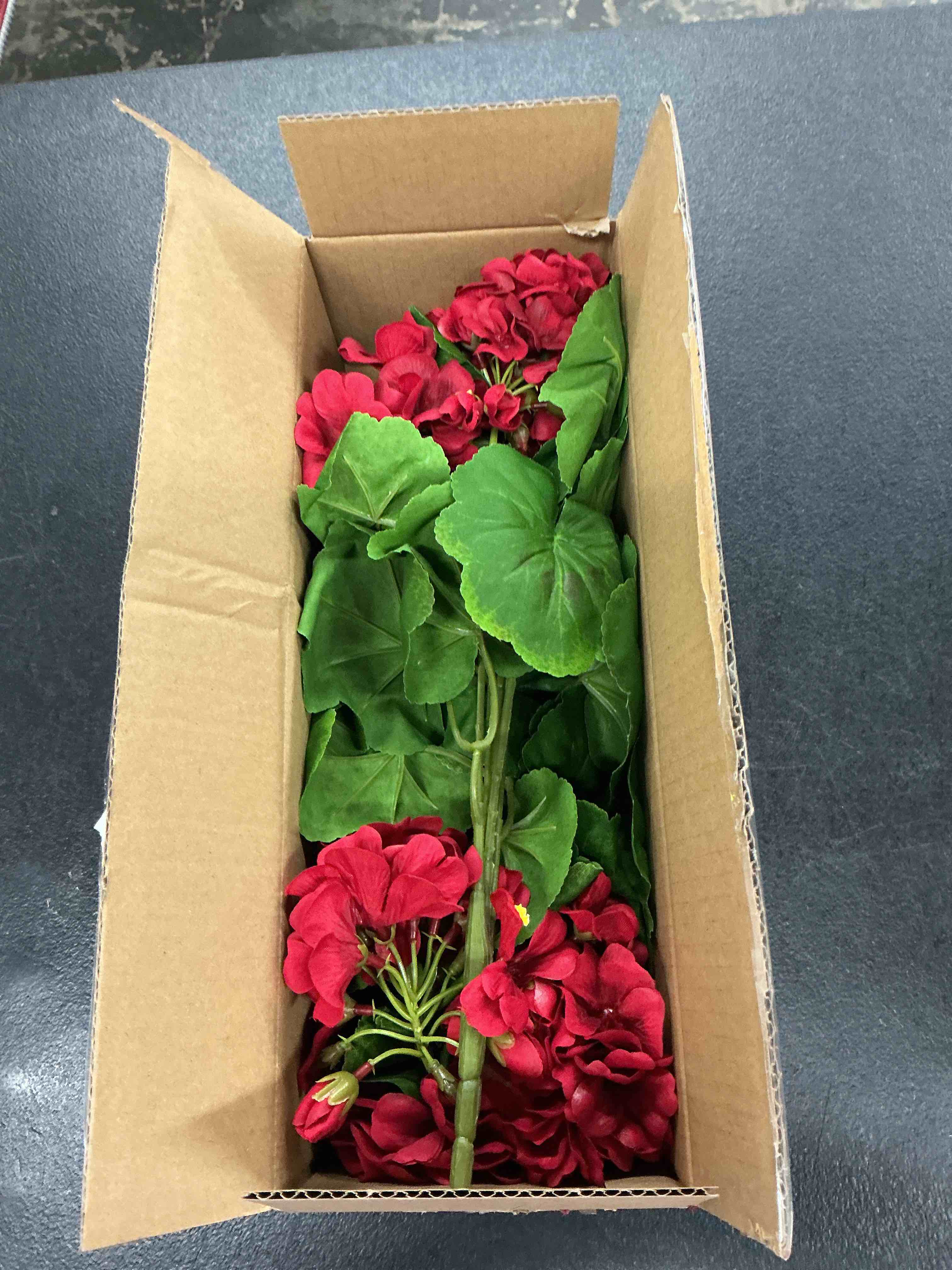 https://s3.amazonaws.com/lotting-images-prod/EmanualPiazza/PPE7381000_1781789145487.jpeg