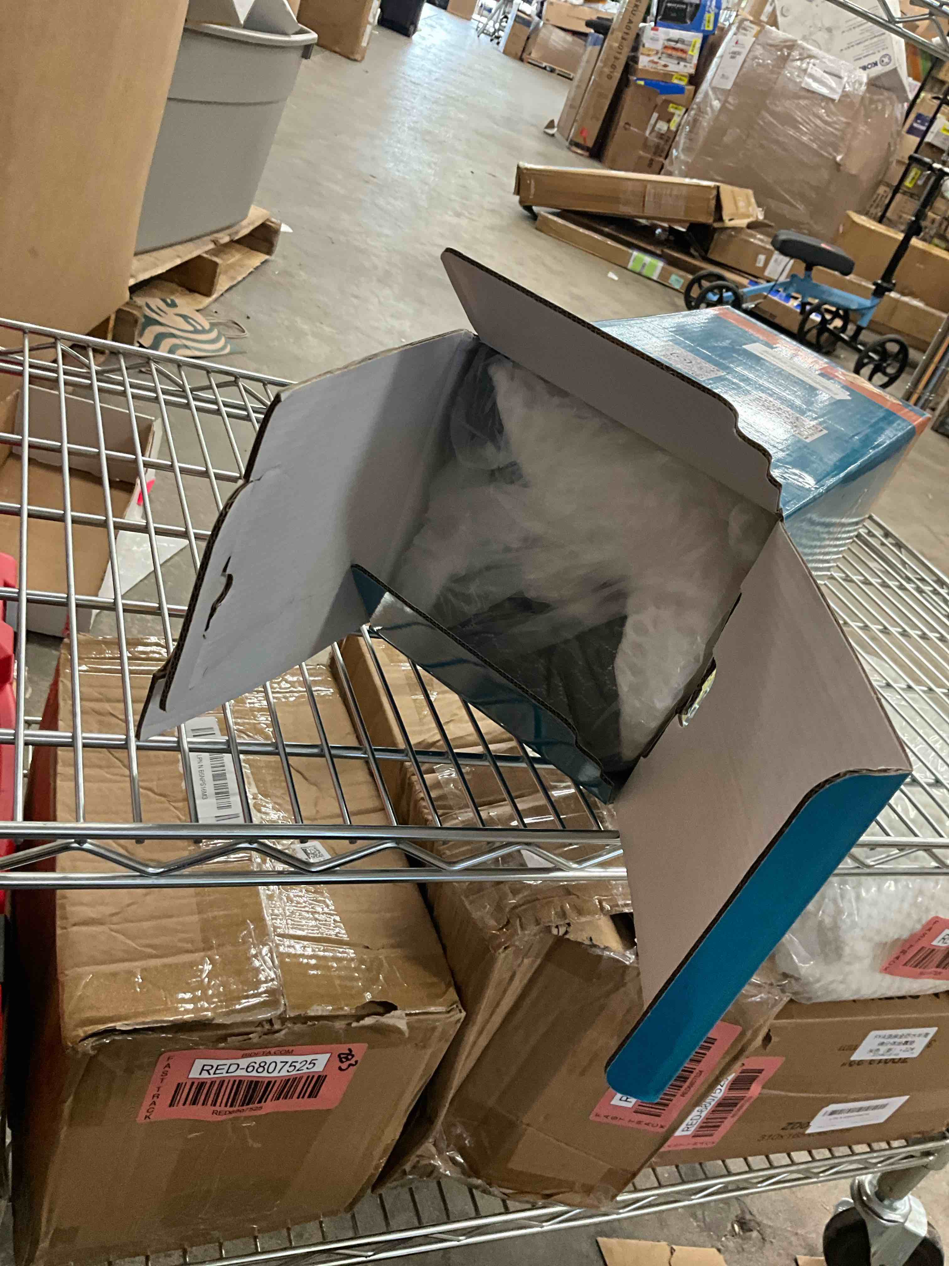 https://s3.amazonaws.com/lotting-images-prod/EmanualPiazza/RED6807529_1746628983342.jpeg