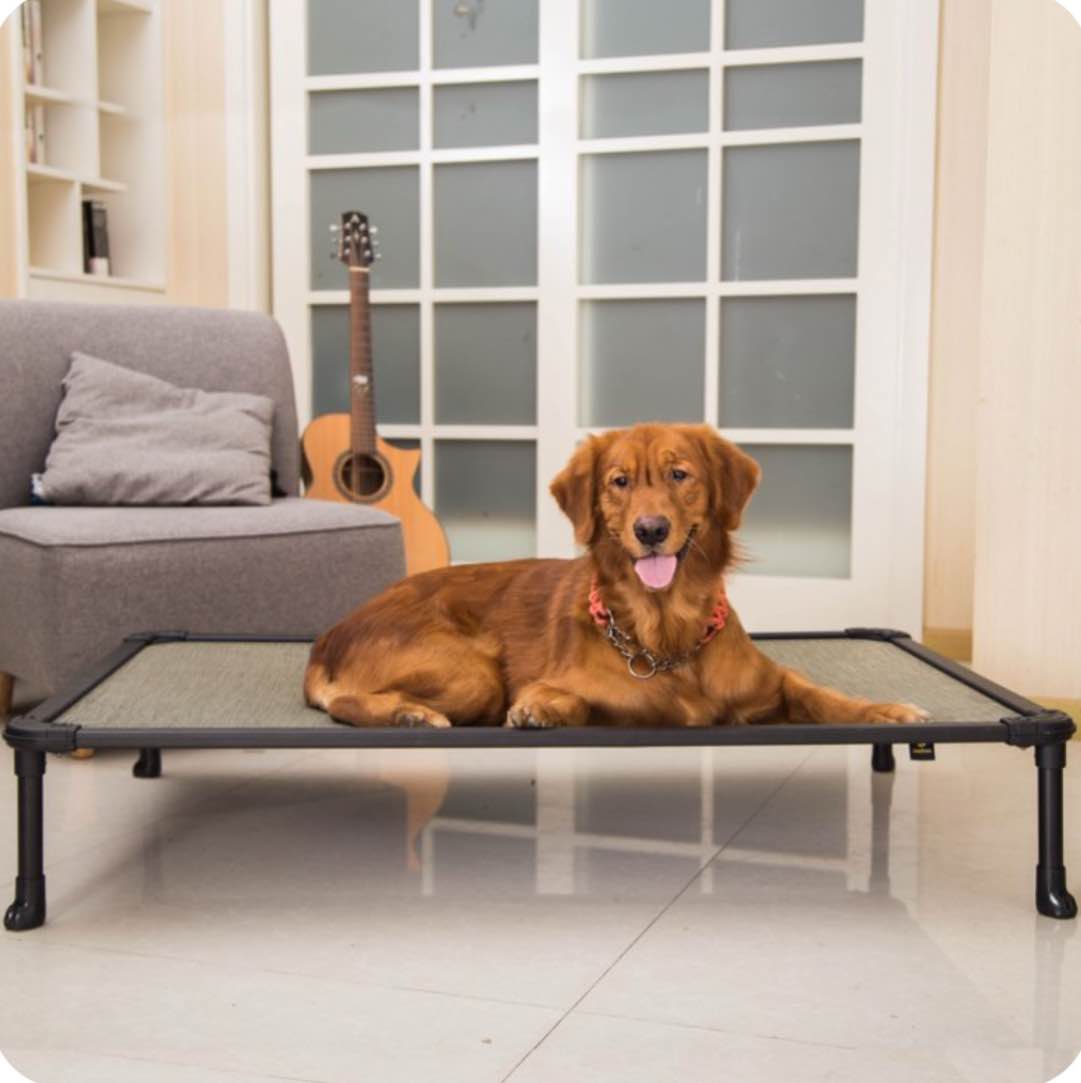 Veehoo Chew Proof Dog Bed, Cooling Raised Pet Cot, Rustless Aluminum Frame, Beige Coffee, X Large