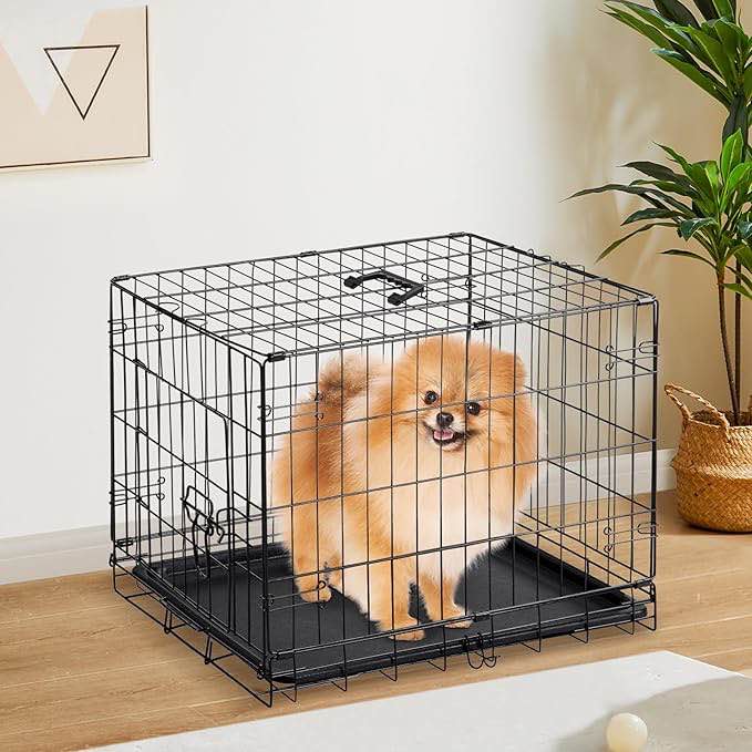 Vibrant Life Single-Door Folding Dog Crate with Divider 24