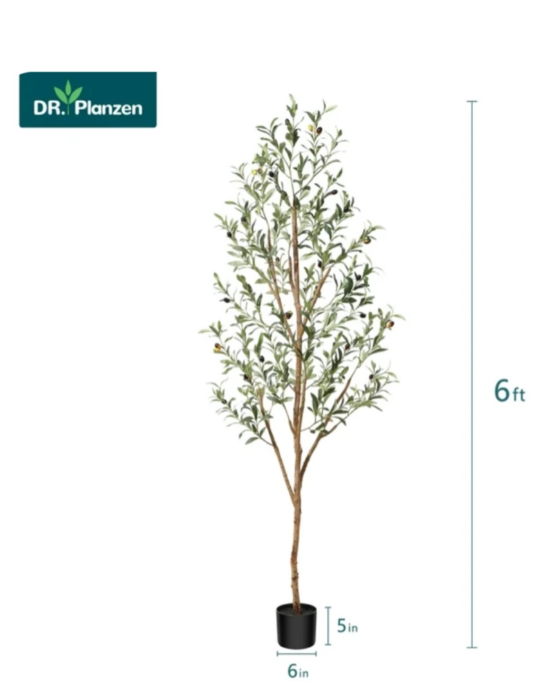 6 ft Artificial Olive Plants with Realistic Leaves and Natural Trunk, Silk Fake Olive Tree in Black Plastic Pot, Faux Olive Tree for Office Home