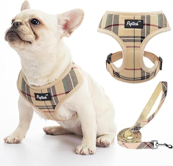 PUPTECK Soft Mesh Dog Harness and Leash Set Pet Puppy Cat Comfort Padded Vest No Pull Harnesses, Beige, M