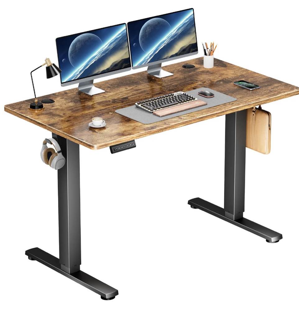 edx Electric Standing Desk, Height Adjustable Desk, 48 x 24 Inches Ergonomic Stand up Desk with Memory Preset and T-Shaped Metal Bracket for Home Office