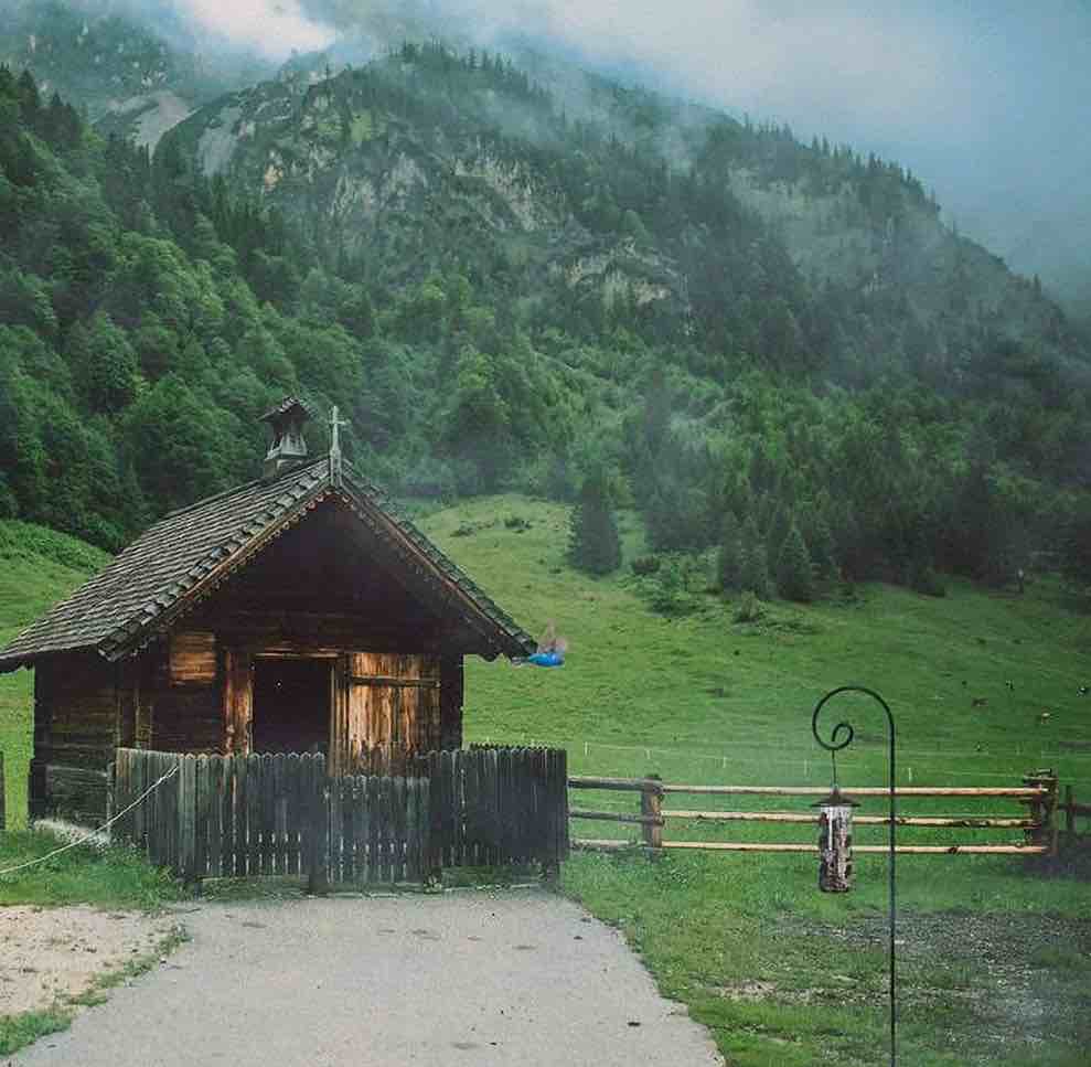 Ashmanonline Sheperd Hook Steel 35inch & 1/4inch Black Color For Bird Feeders 12Pack