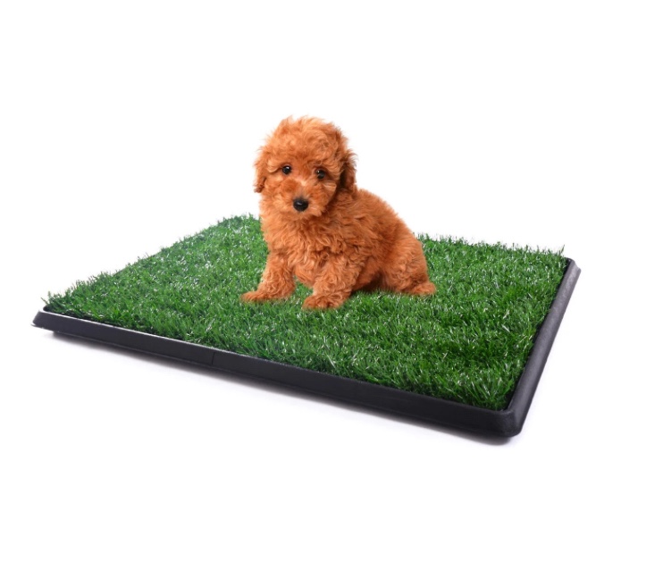 Resenkos Training Pads Toilet ?Dog Grass Pee Pads,Pet toilet dog potty artificial turf environmental protection