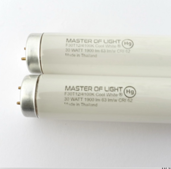 Master of Light F30T12 Cool White Fluorescent Tubes, 2-Pack, 36-Inch, 30W, 4100K, 1900 Lumens, T12 G13