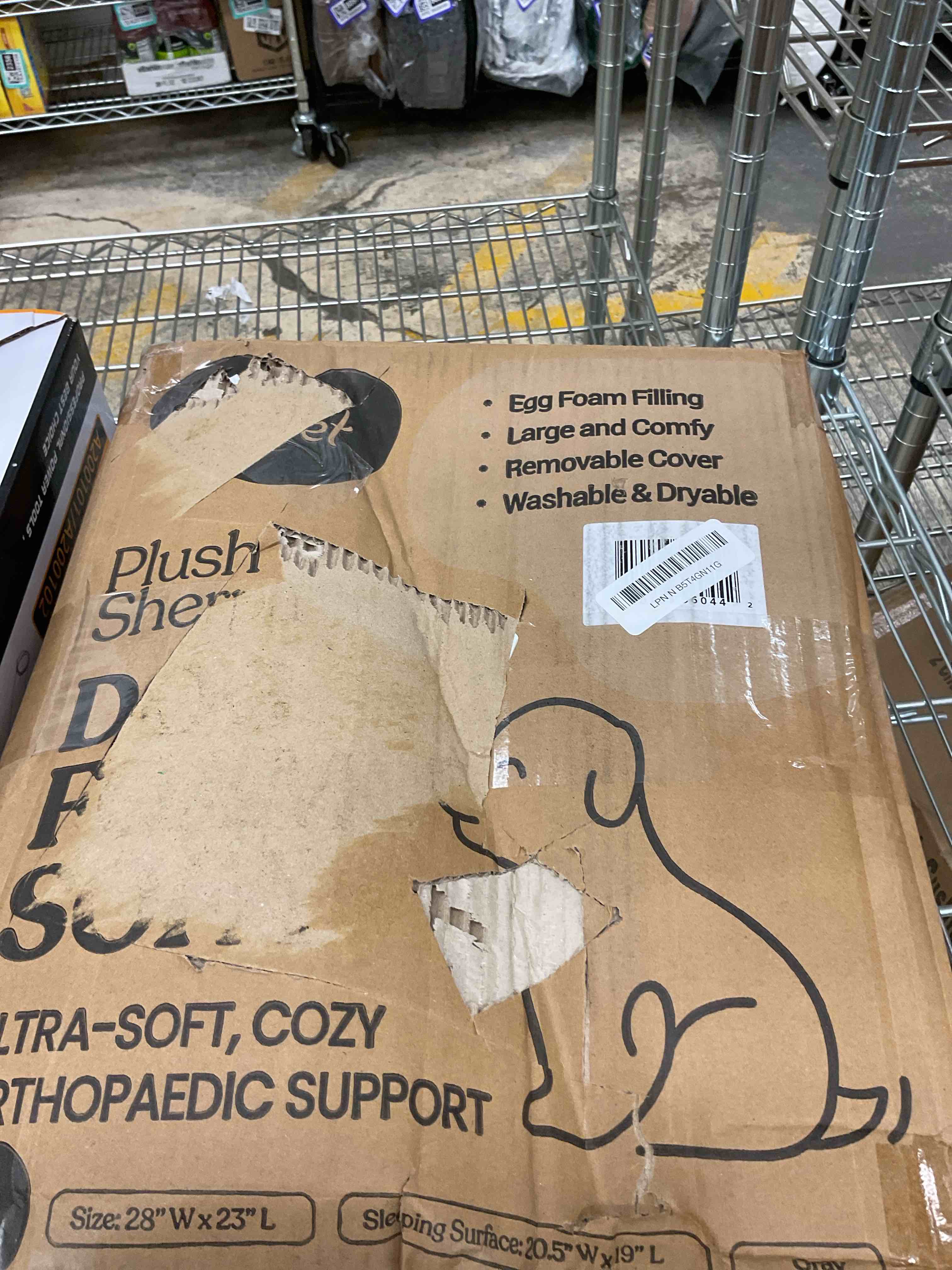 https://s3.amazonaws.com/lotting-images-prod/EmanualPiazza/TEA3572841_1751124657477.jpeg