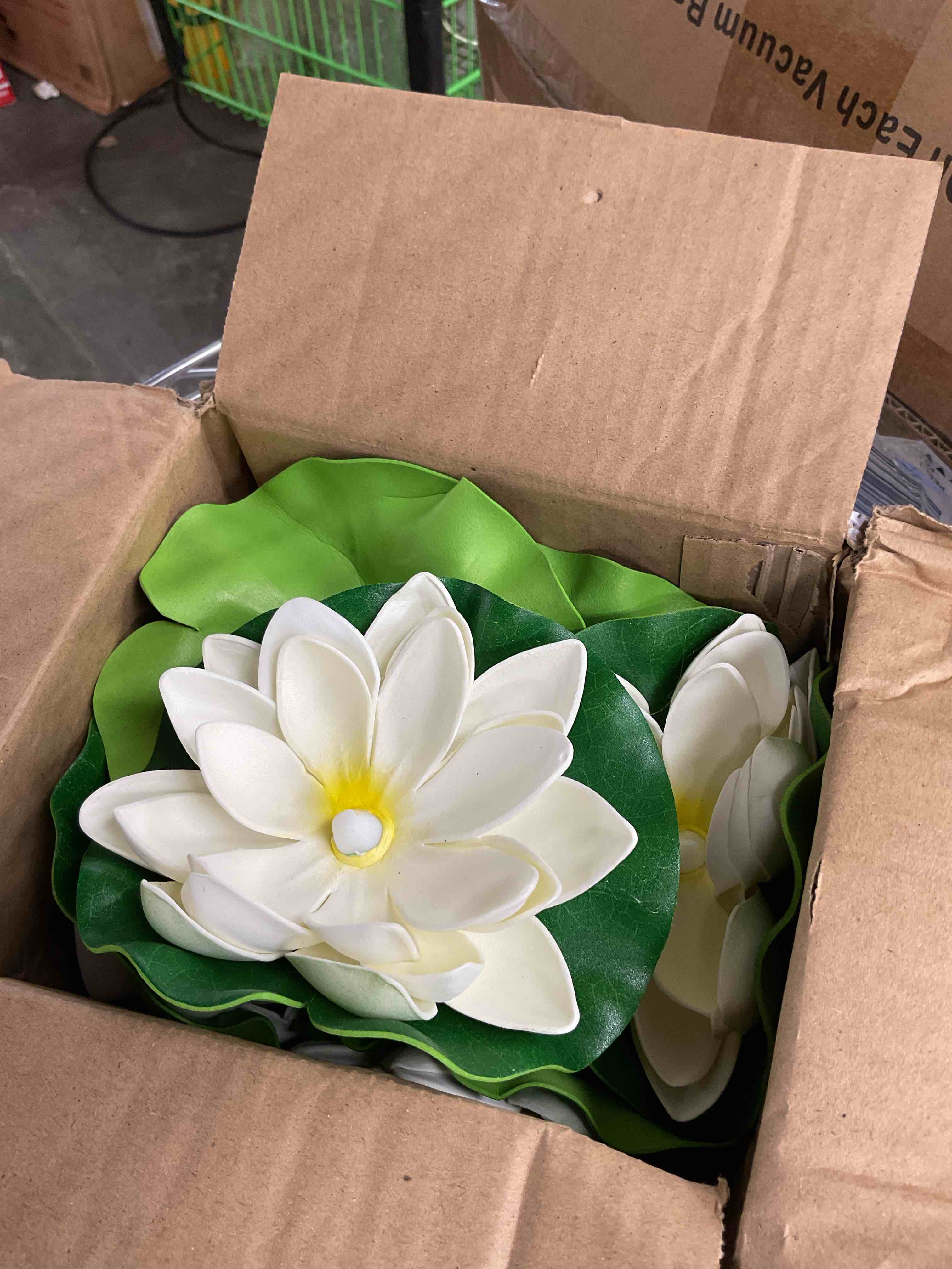 https://s3.amazonaws.com/lotting-images-prod/EmanualPiazza/TEA3573168_1752002484599.jpeg