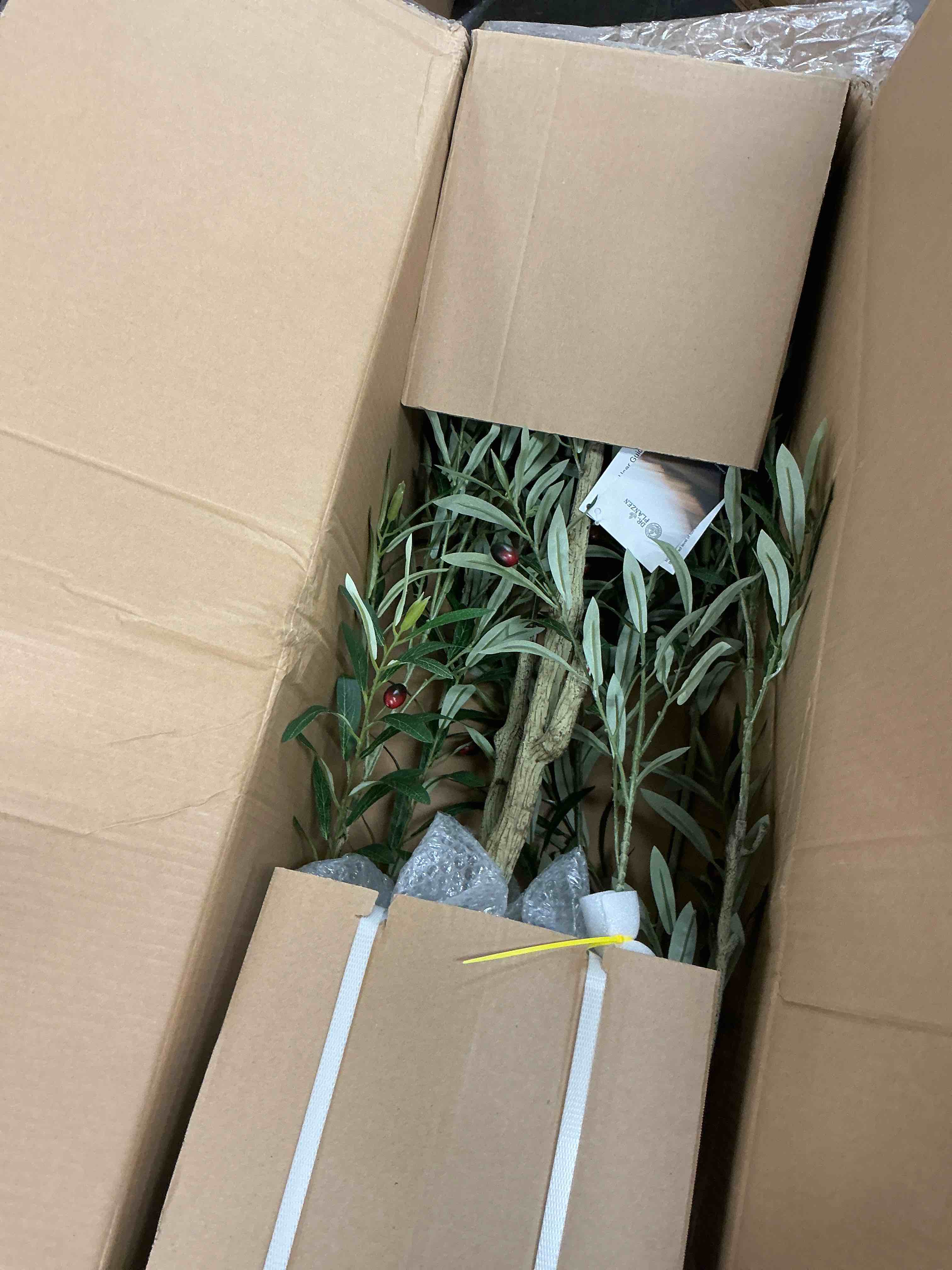 https://s3.amazonaws.com/lotting-images-prod/EmanualPiazza/TEA3573362_1752159991347.jpeg