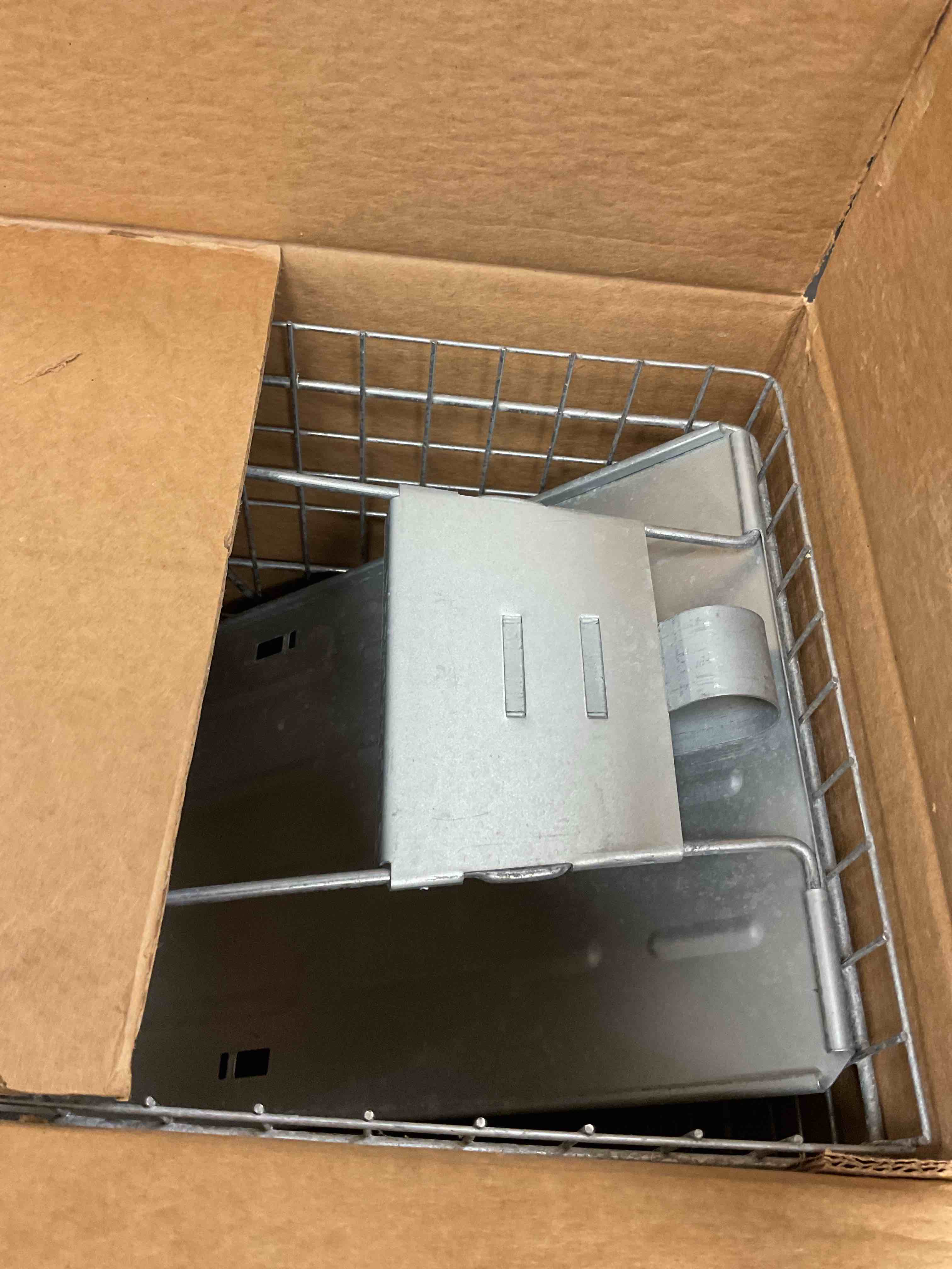 https://s3.amazonaws.com/lotting-images-prod/EmanualPiazza/TEA3574360_1753287035080.jpeg