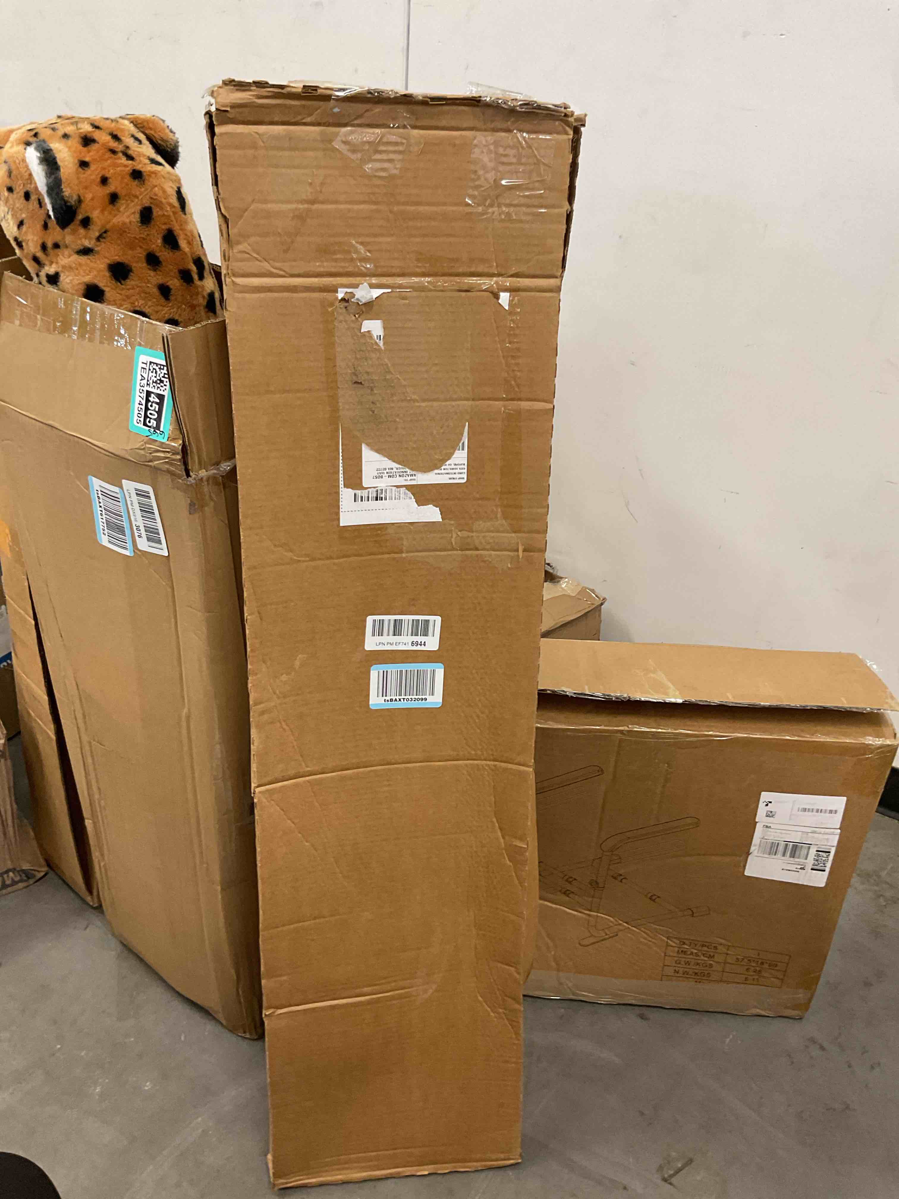 https://s3.amazonaws.com/lotting-images-prod/EmanualPiazza/TEA3574502_1753453619300.jpeg