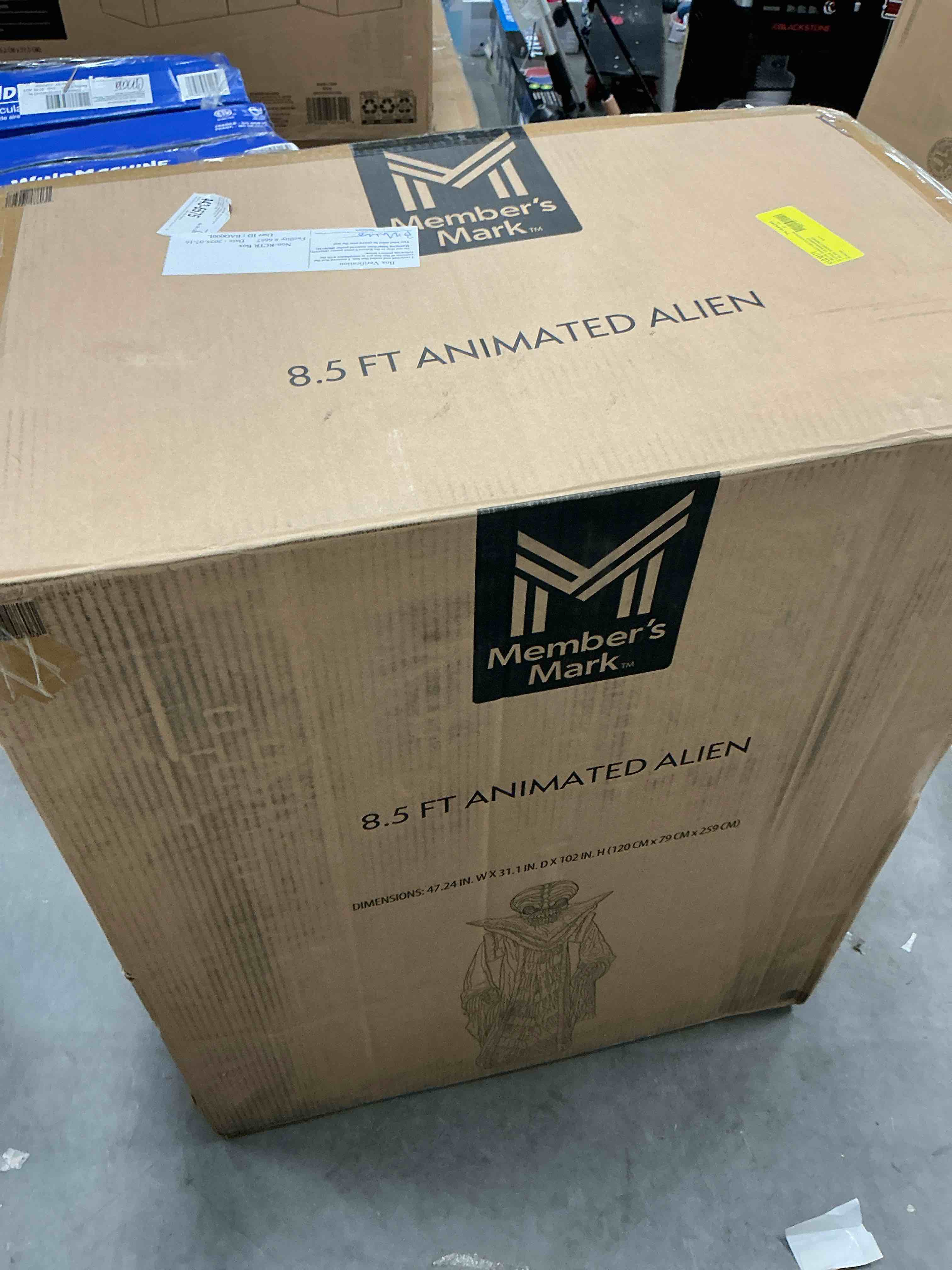 https://s3.amazonaws.com/lotting-images-prod/EmanualPiazza/TEA3575509_1755020747662.jpeg