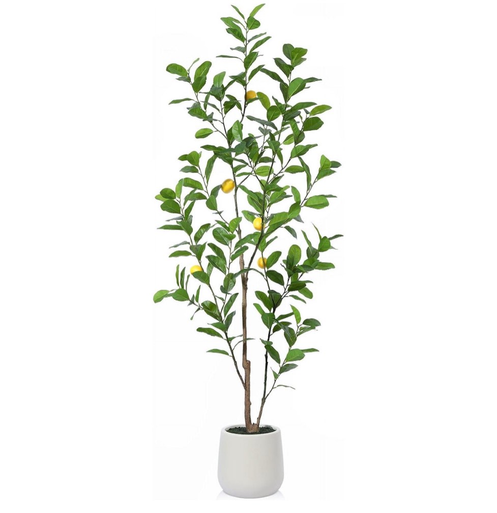 Artificial Tree, 5ft Tall Fake Lemon Plants for Indoor Home Decor, Faux Lemon Tree with 10.5in White Planter, Large Floor Plants for Office Living Room Decor, 1 Pack
