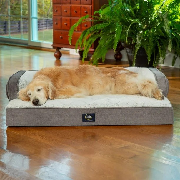Serta Luxury Sleeper Sofa Pet Bed, X-Large Gray
