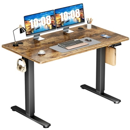 edx Electric Standing Desk, Height Adjustable Desk, 48 x 24 Inches Ergonomic Stand up Desk with Memory Preset and T-Shaped Metal Bracket for Home Office