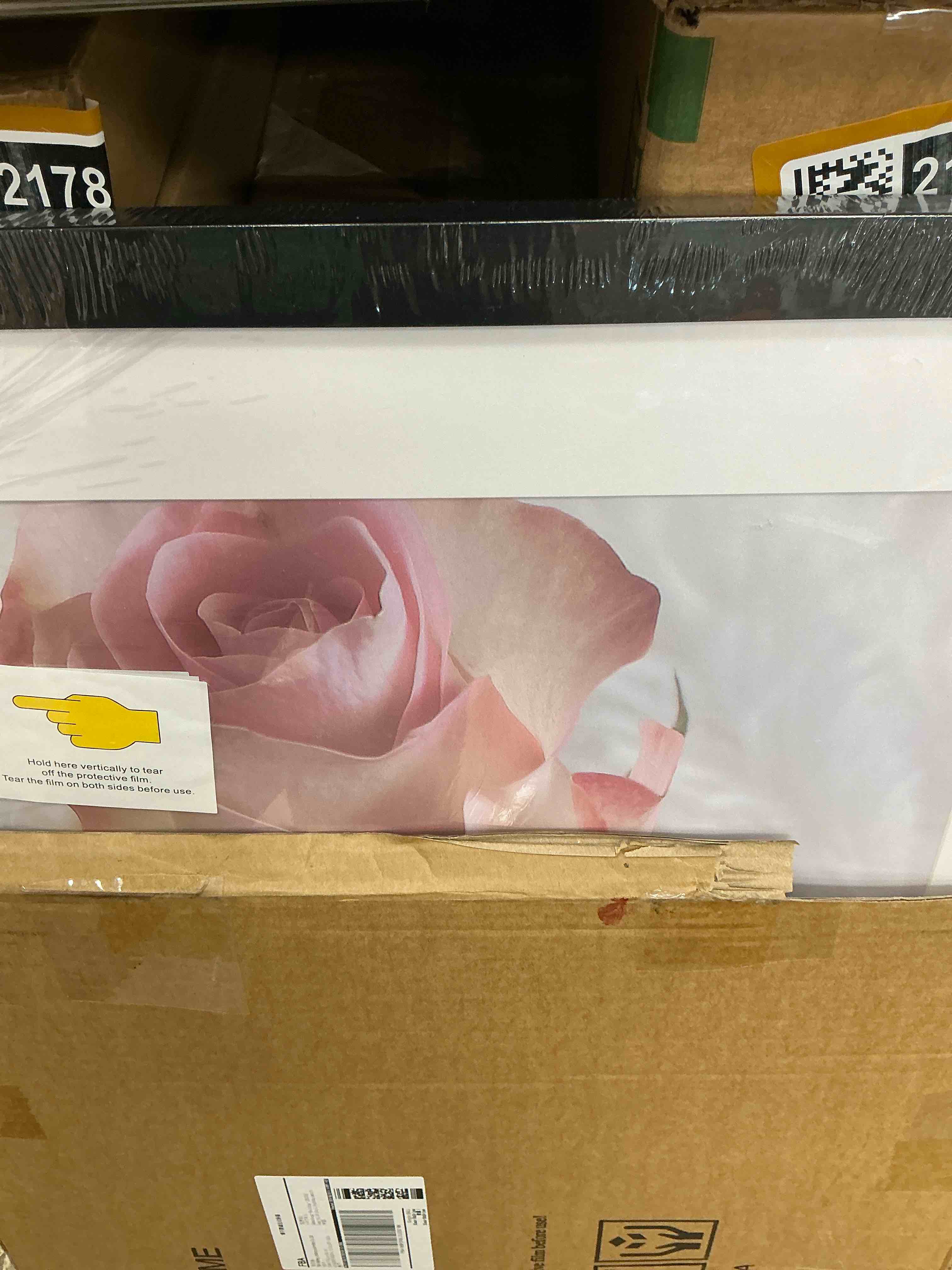 https://s3.amazonaws.com/lotting-images-prod/EmanualPiazza/TEA3576189_1756556902944.jpeg