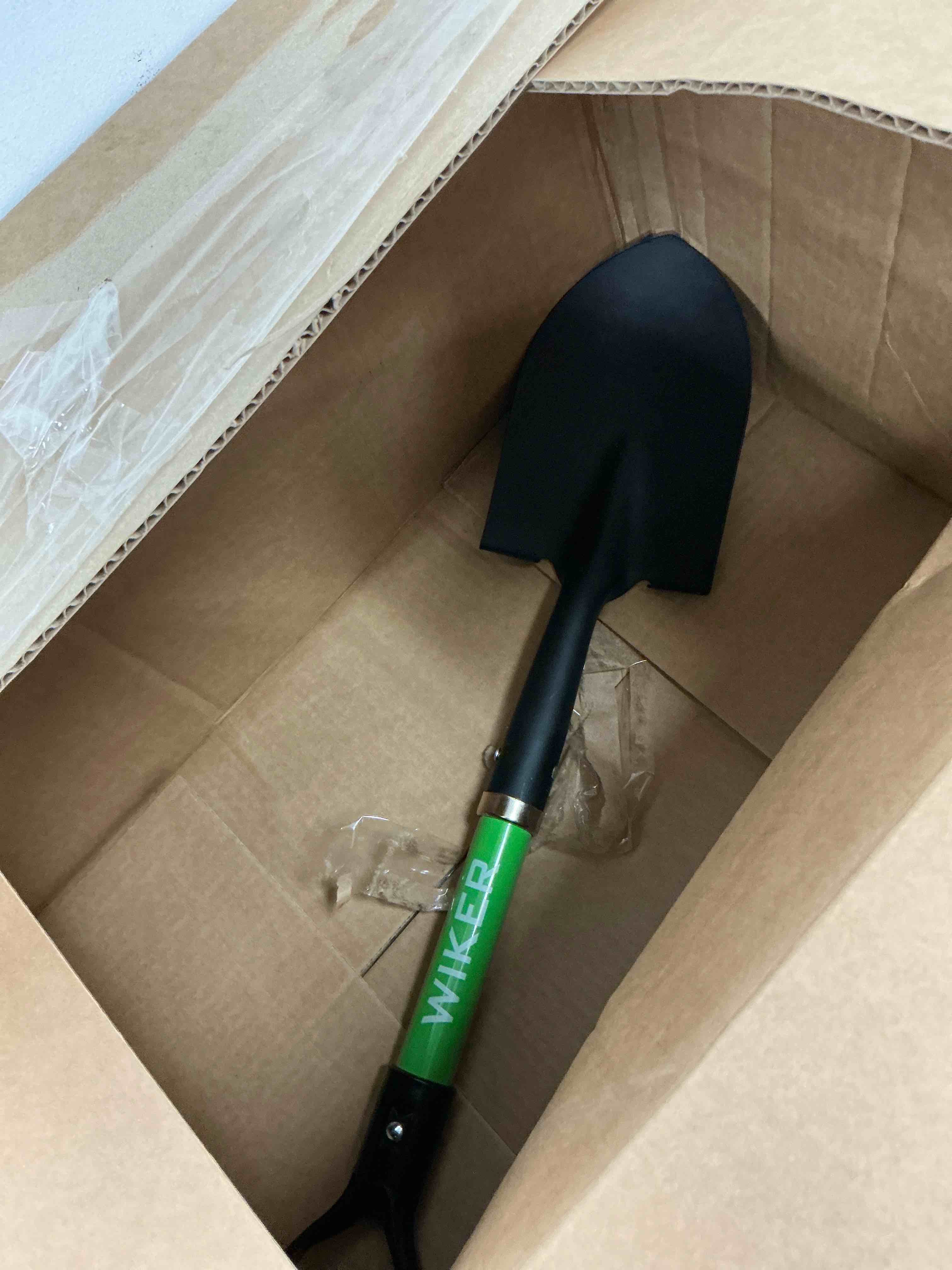 https://s3.amazonaws.com/lotting-images-prod/EmanualPiazza/TEA3576289_1756915120418.jpeg