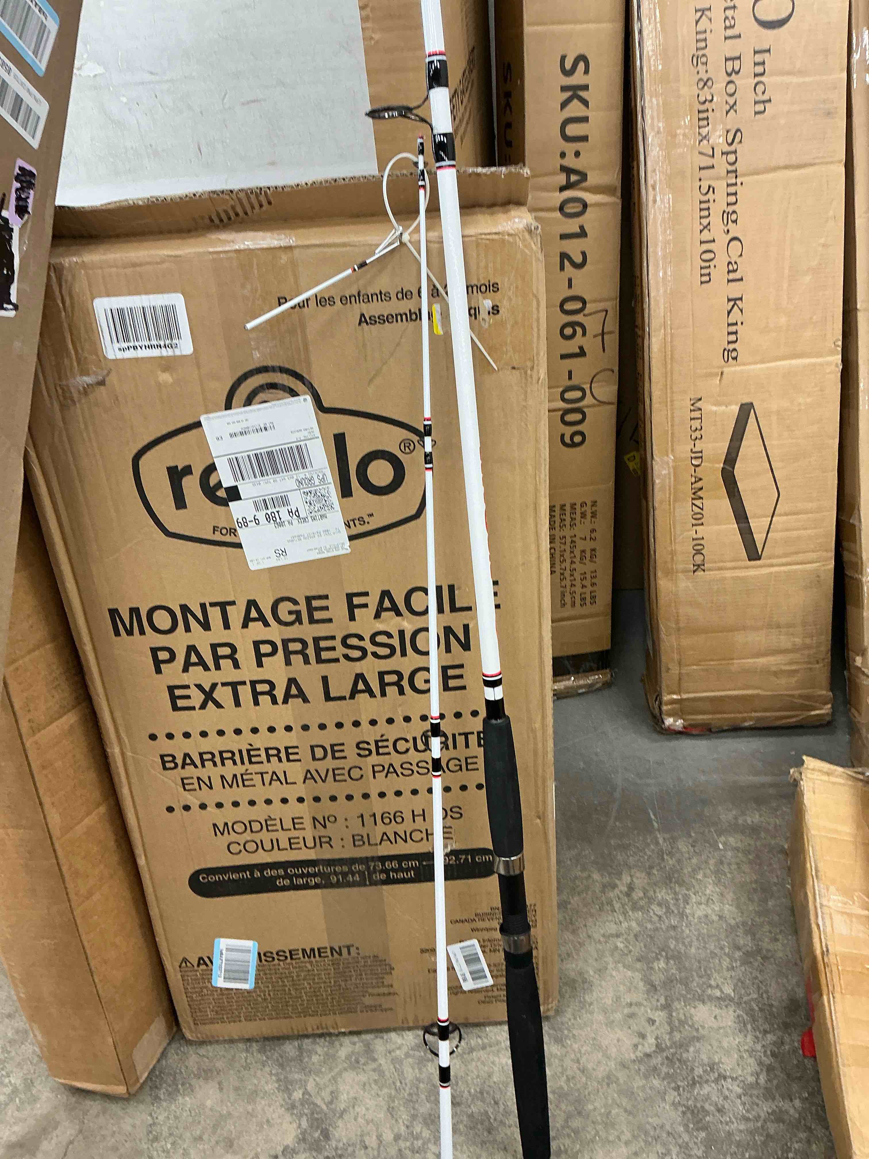 https://s3.amazonaws.com/lotting-images-prod/EmanualPiazza/TEA3576390_1757005391617.jpeg