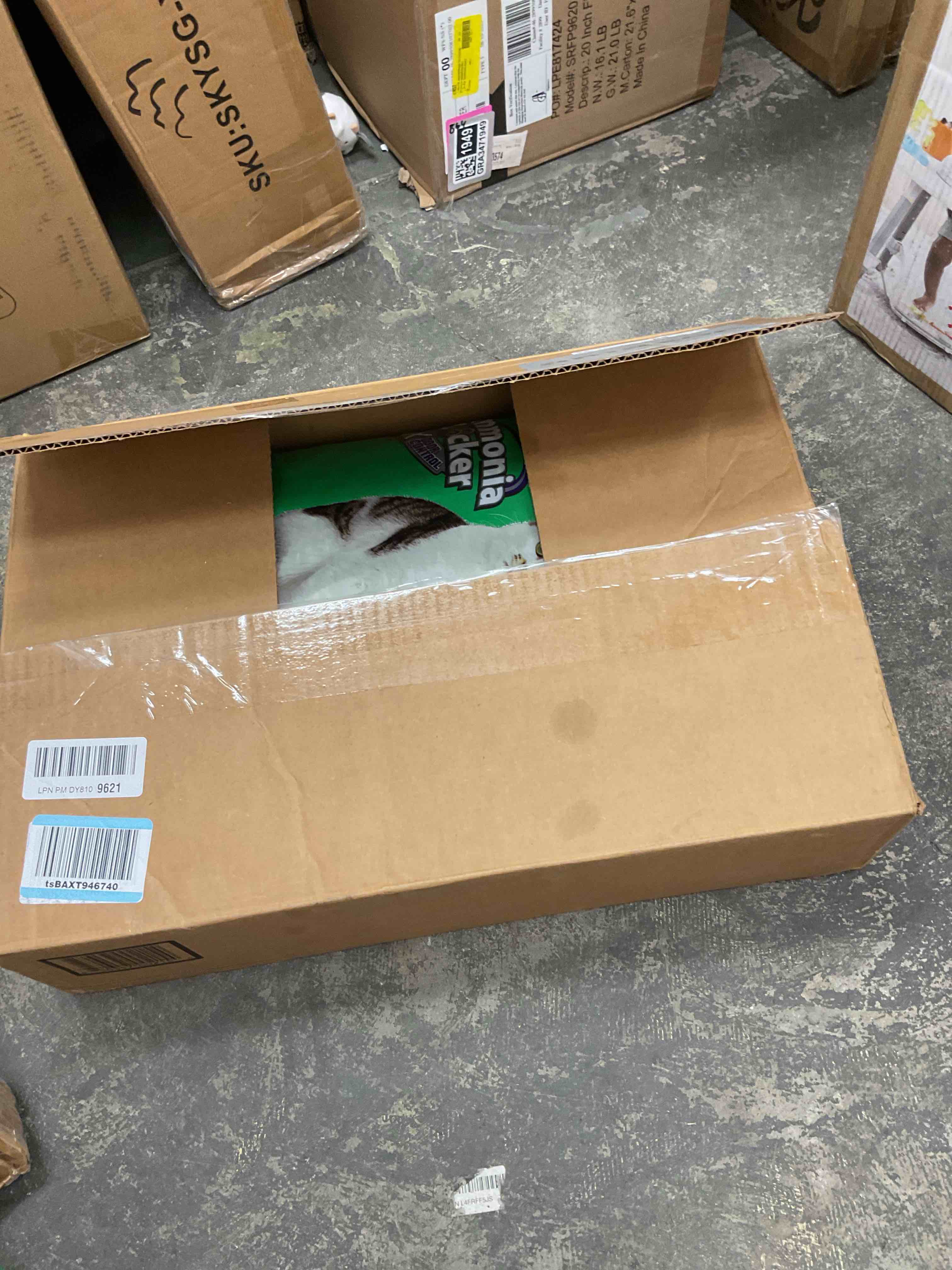 https://s3.amazonaws.com/lotting-images-prod/EmanualPiazza/TEA3576651_1757686608045.jpeg