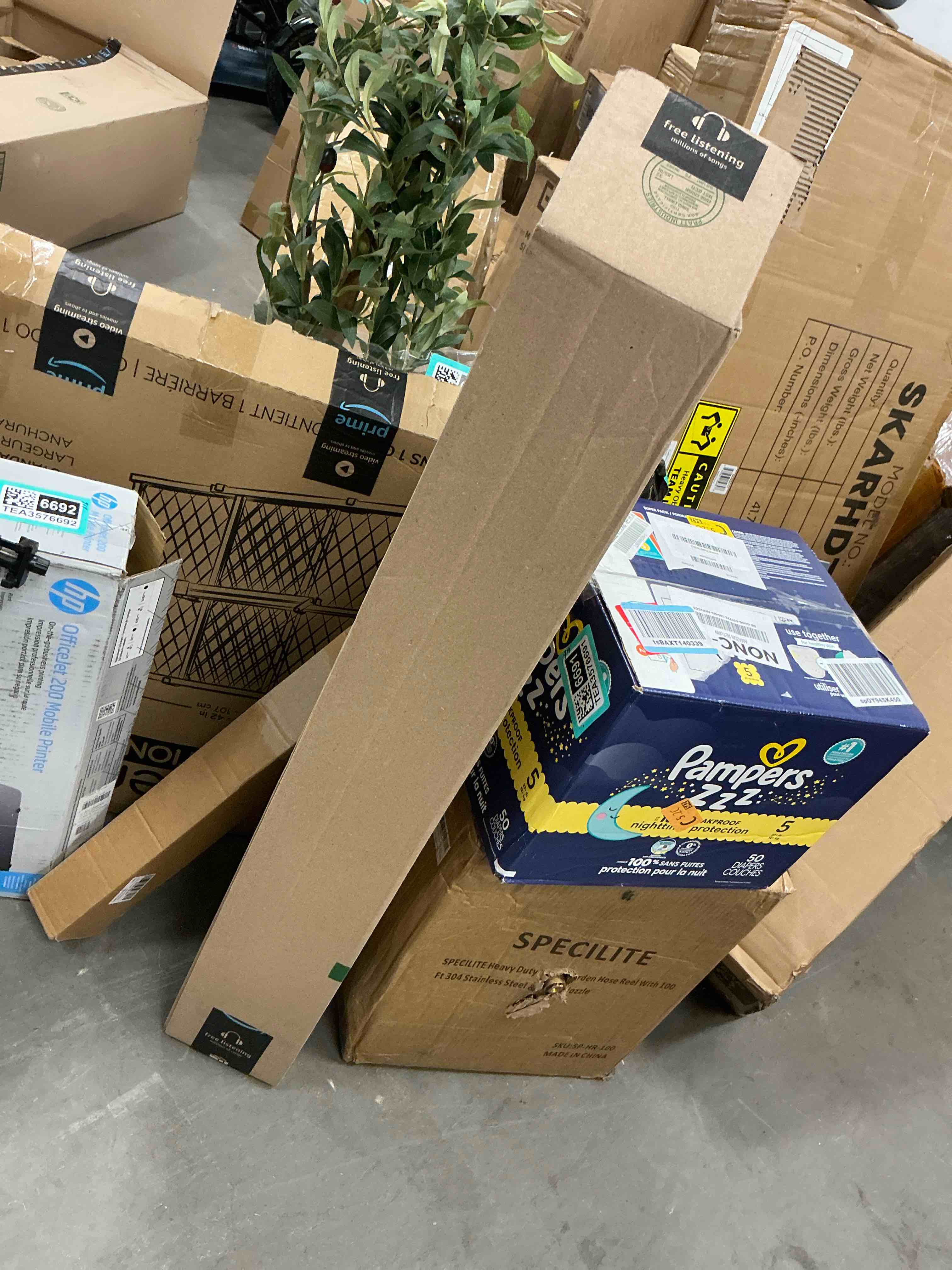 https://s3.amazonaws.com/lotting-images-prod/EmanualPiazza/TEA3576690_1757706199410.jpeg