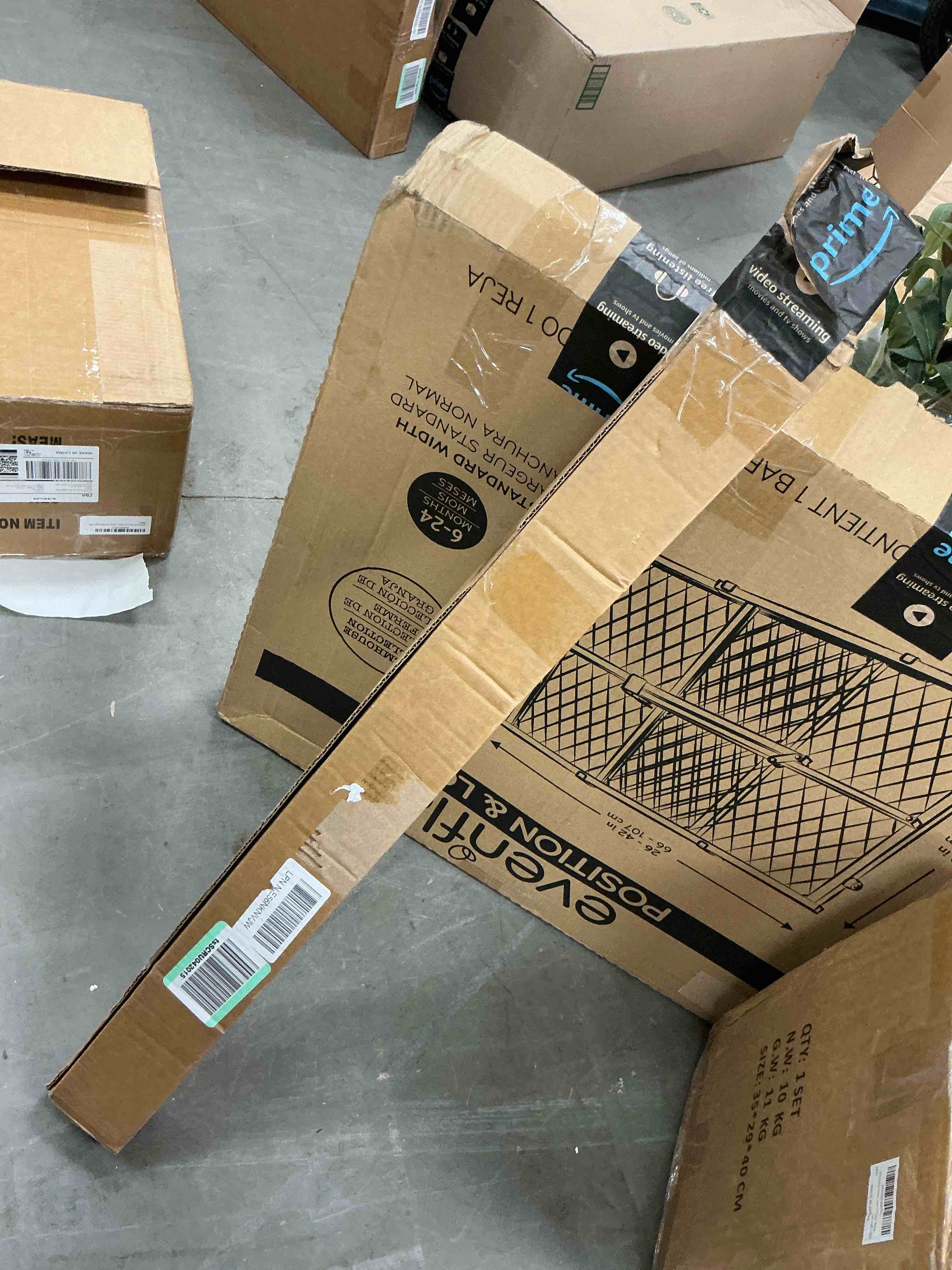https://s3.amazonaws.com/lotting-images-prod/EmanualPiazza/TEA3576693_1757705180927.jpeg