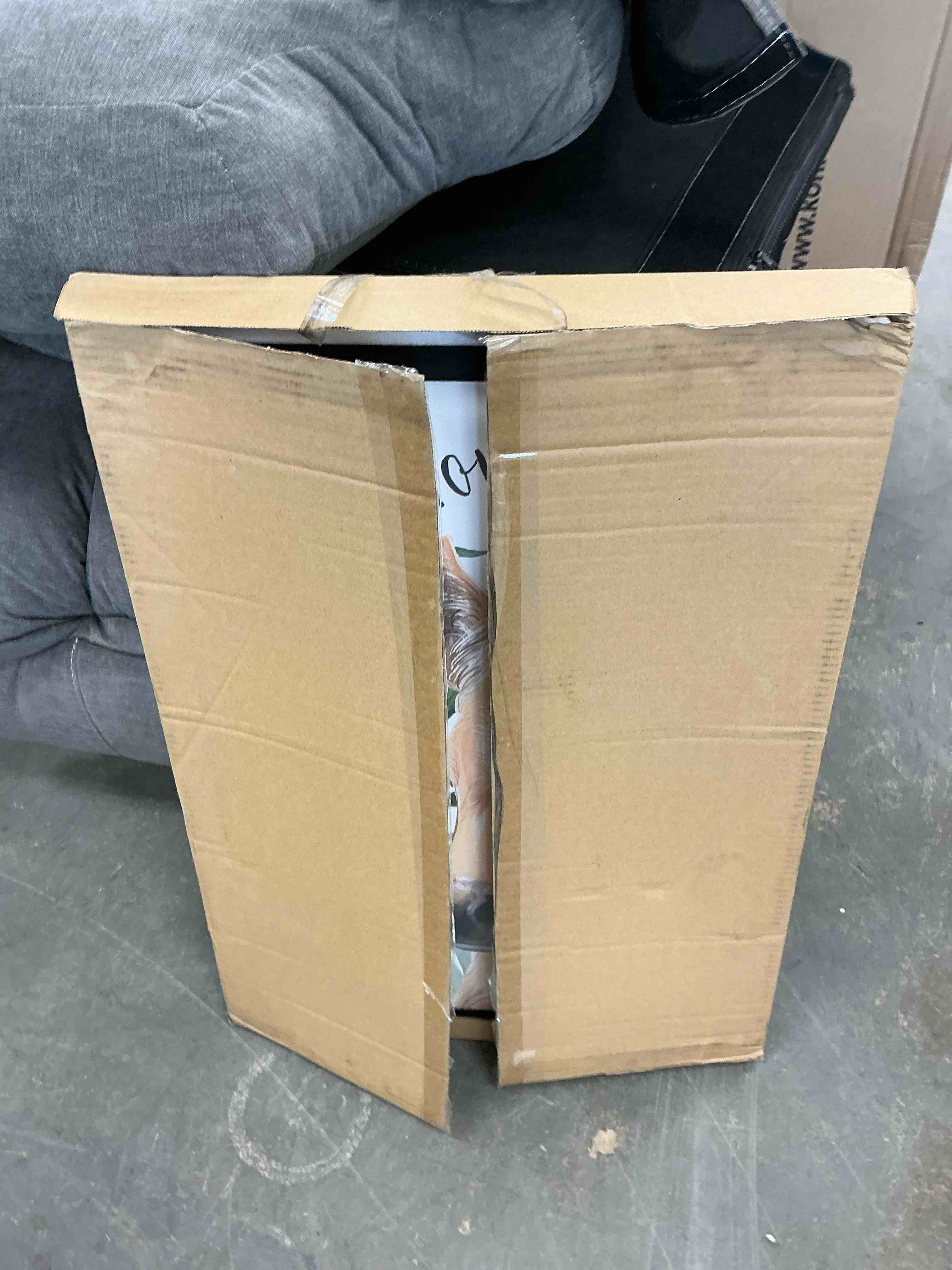 https://s3.amazonaws.com/lotting-images-prod/EmanualPiazza/TEA3576766_1757780110434.jpeg