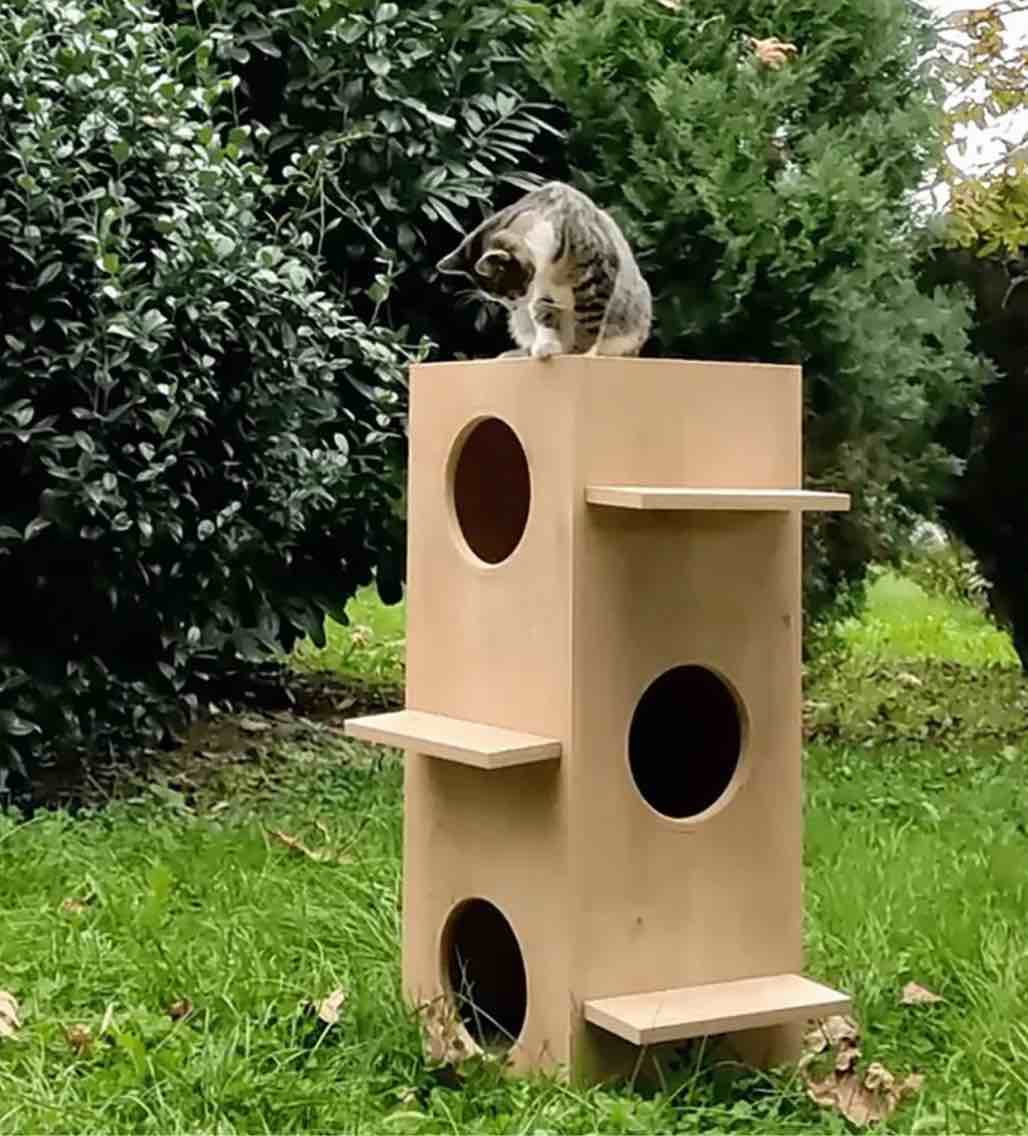 Petguin Modern 3-Story Cat Tower with Soft Mats, Multi-Level Cat Tree for Play, Wooden Cat House