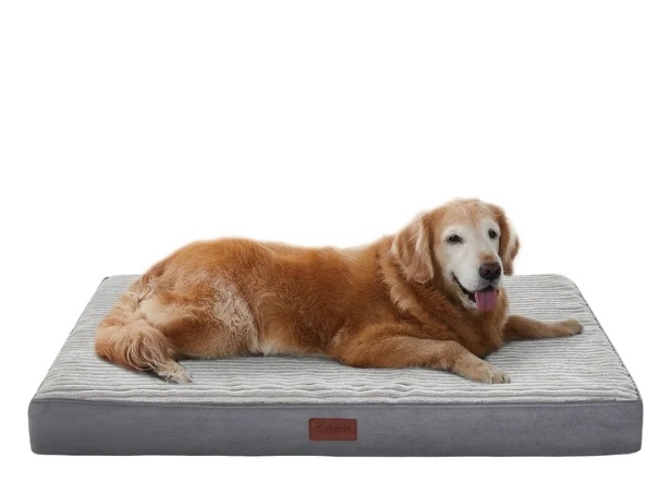 Ophanie 47in Gray Orthopedic Dog Bed for Large Dogs with Non-Slip Bottom, Waterproof and Machine Washable Removable Pet Bed Cover,XXL Size(47"x29"x4")