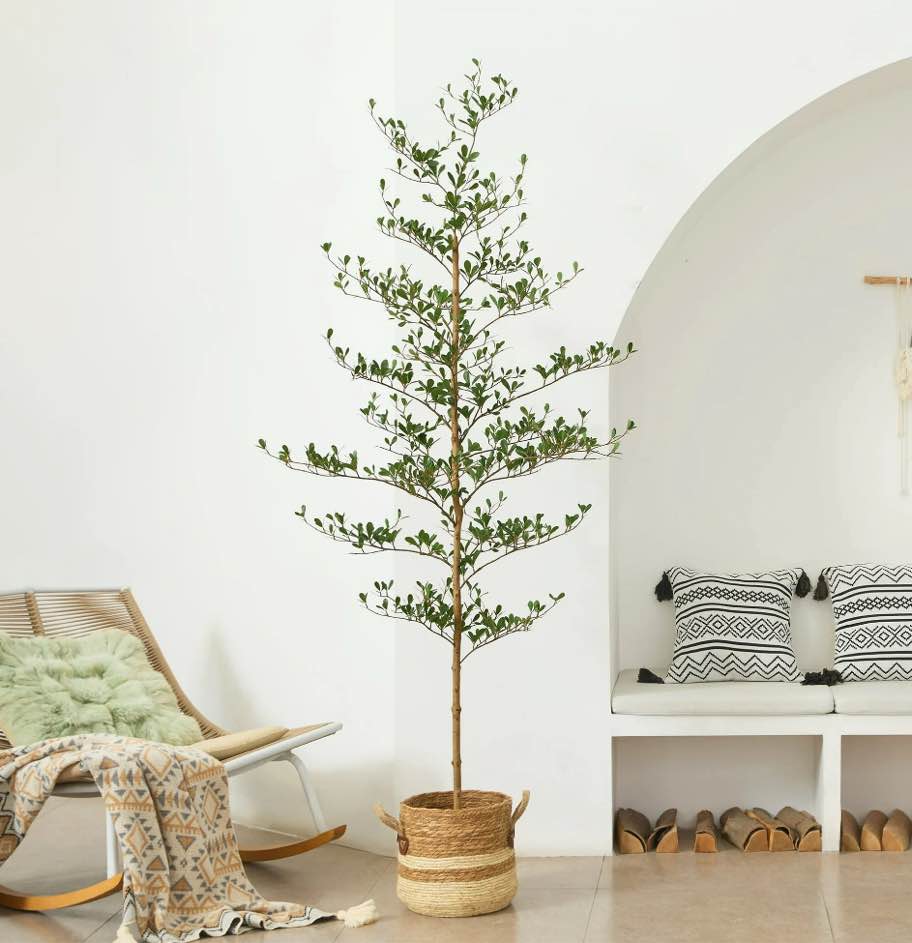 DR.Planzen 7ft Faux Black Olive Tree - Realistic Potted Artificial Tree with Natural Trunk & Silk Leaves - Tall Faux Plant for Home, Office, Indoor & Outdoor Decor - Low Maintenance & UV Resistant